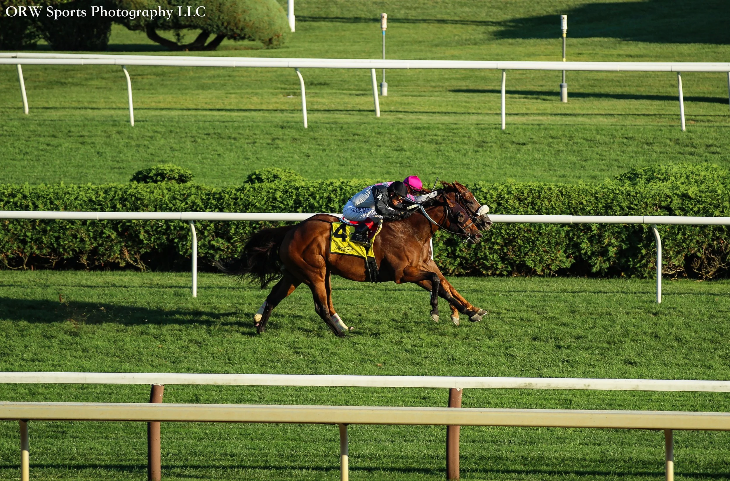 Determined Kingdom and Jean Valjean battle it ou to the wire in the Disco Partner Stakes 