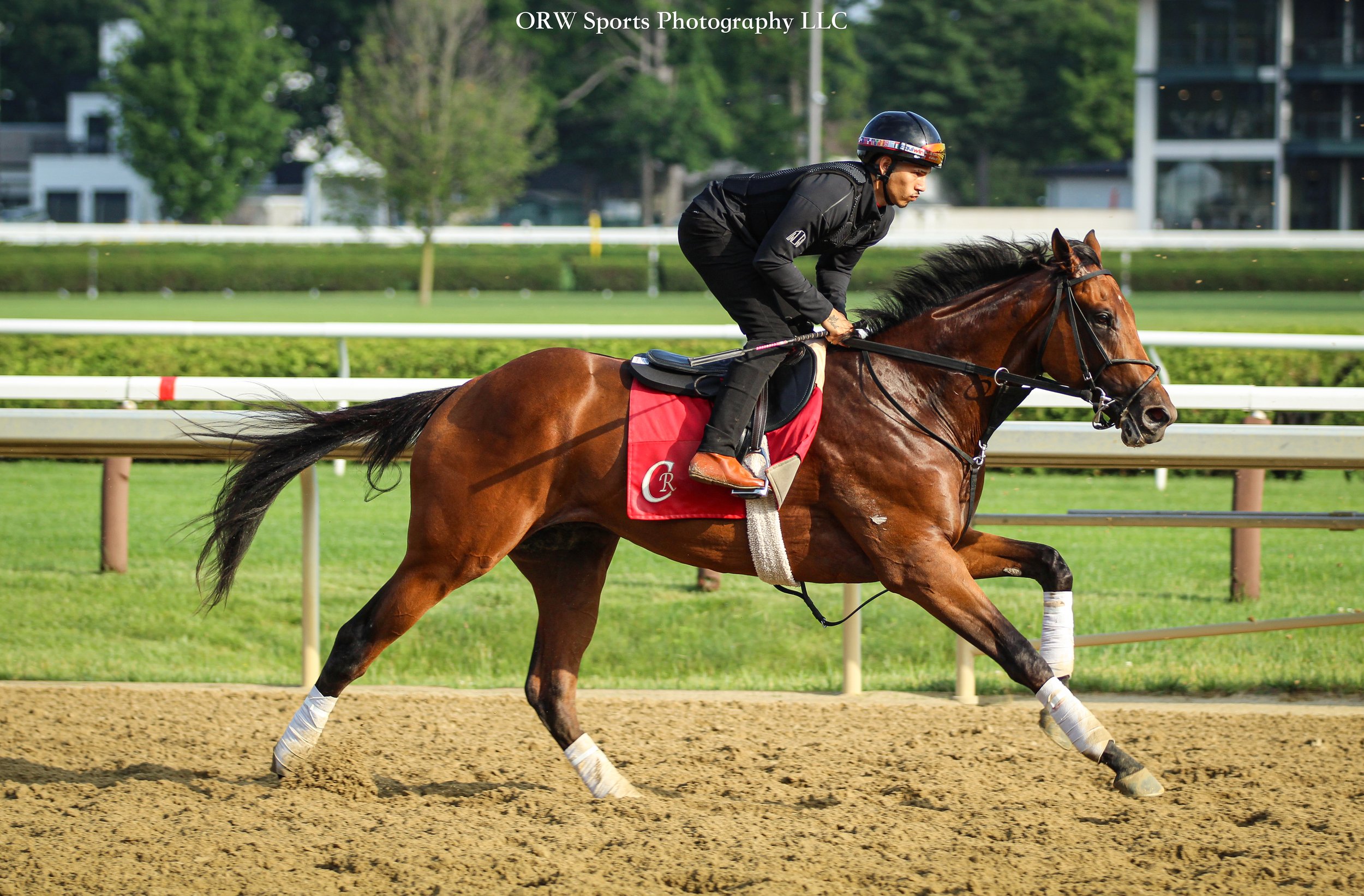 Mi Bago and Reynaldo Dumont. The 4-year-old gelding by Vekoma will be making his next start on Sunday, July 5th, in the Grade 3 Kelso Stakes 