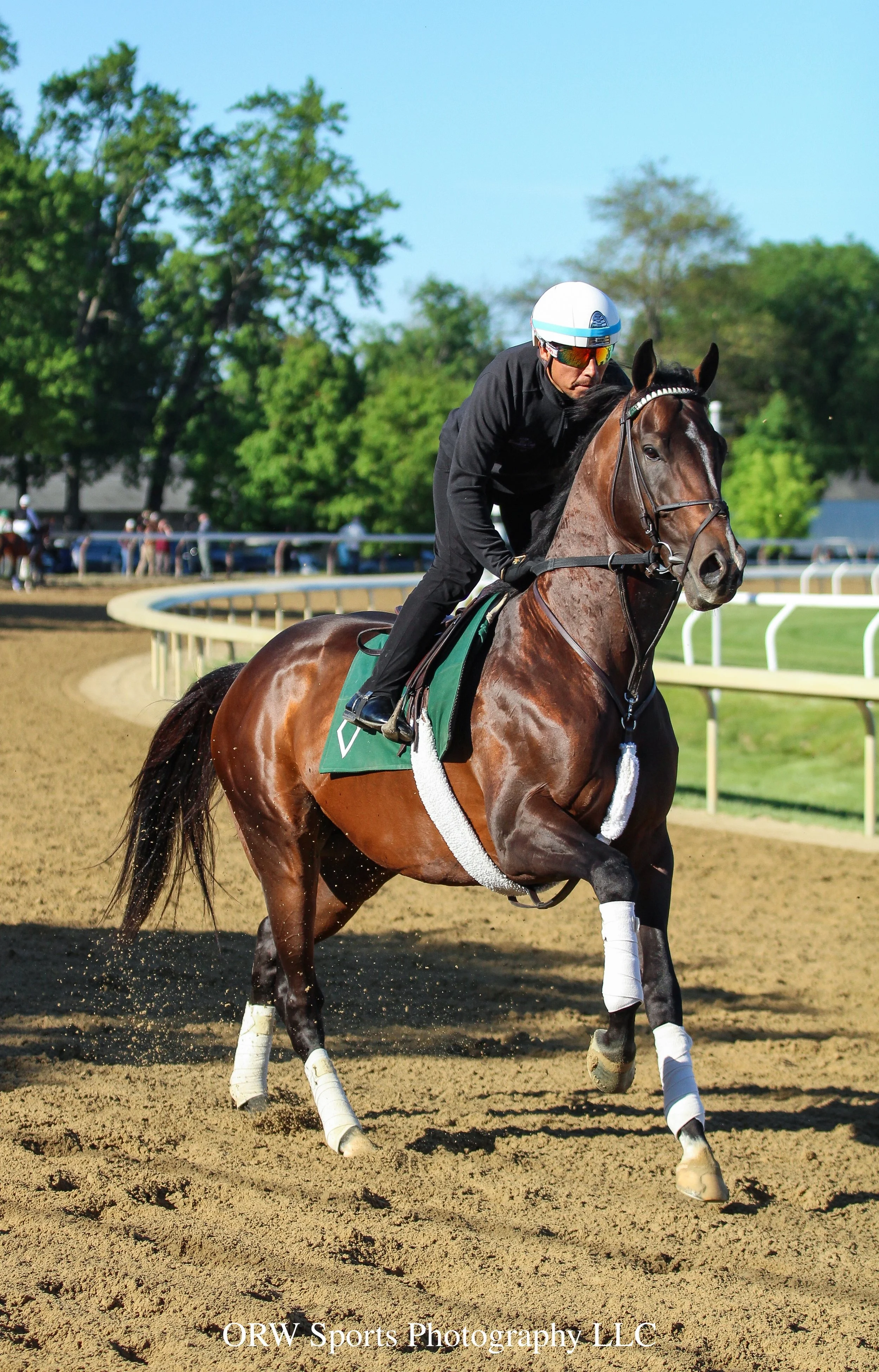 Reigning Horse-of-the-Year Sovereignty