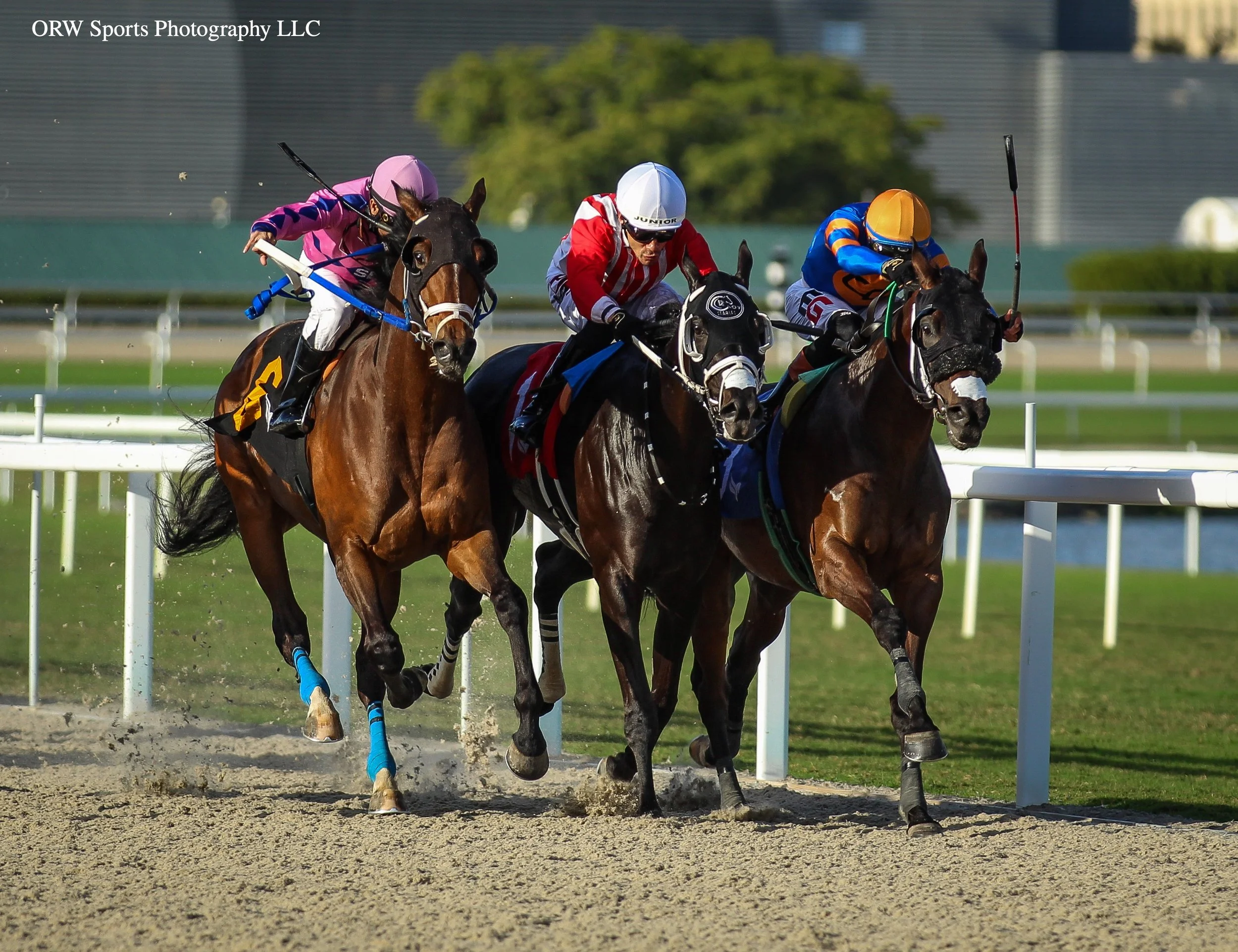 Honesto vs Shinigami vs Winooski 