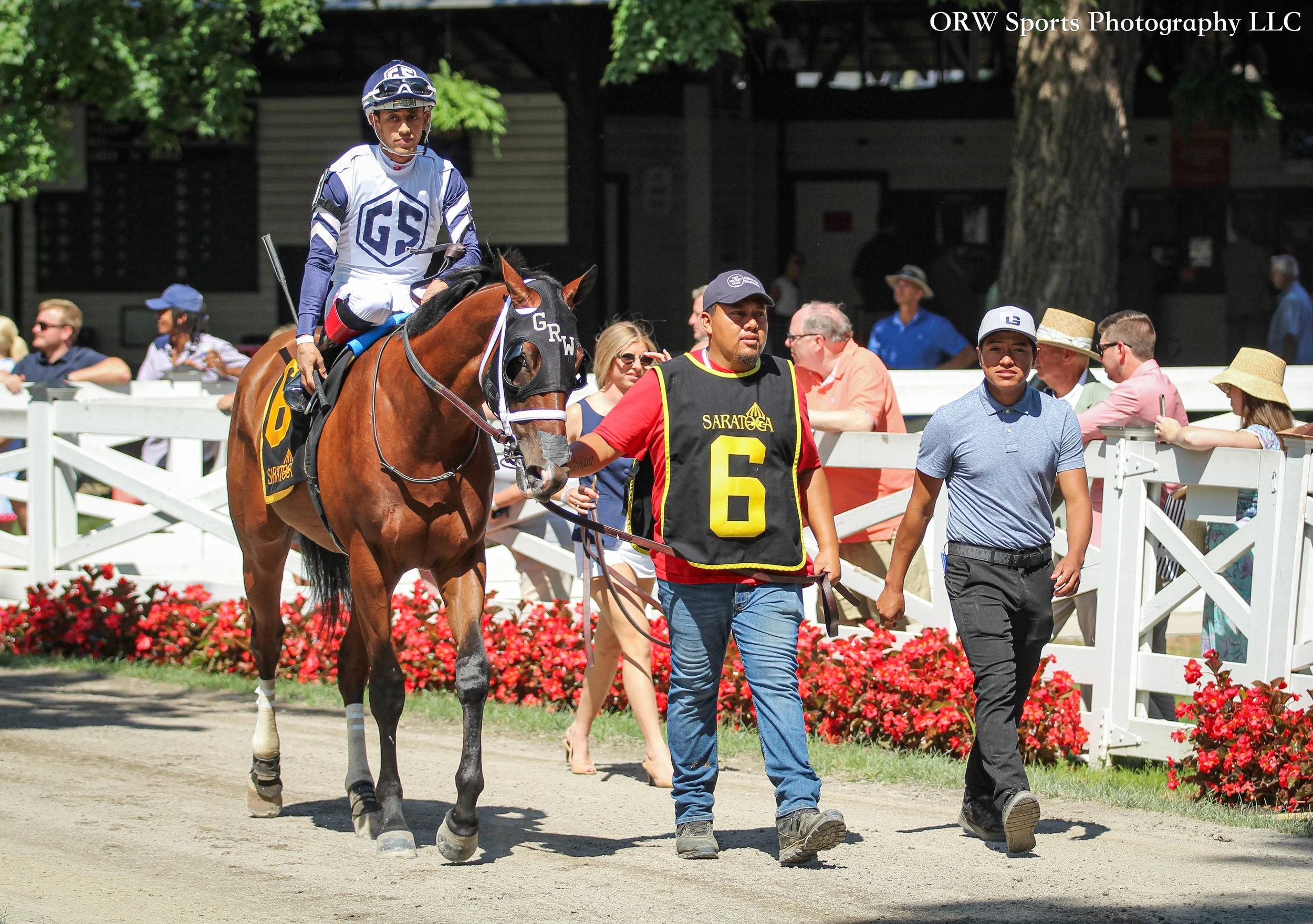 Surety and Edgard Zayas 