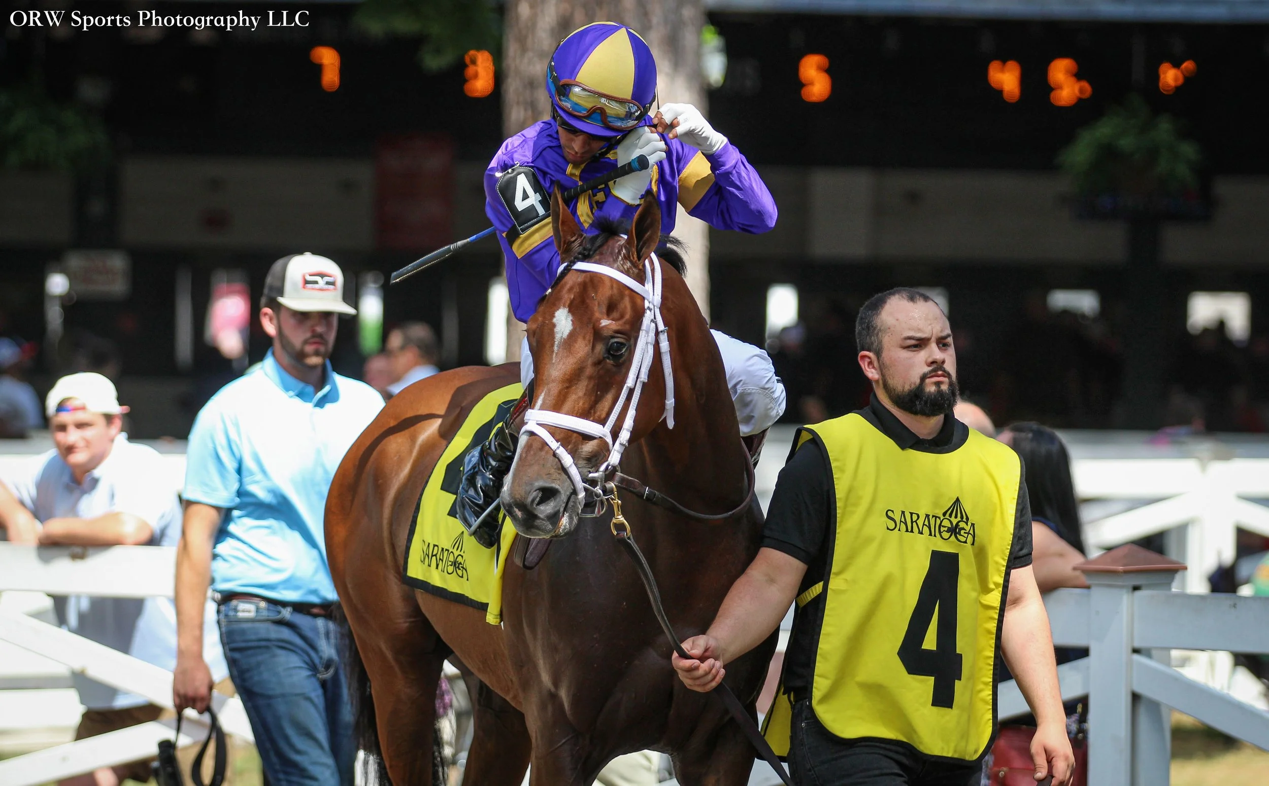 Contrary Thinking and Jaime Rodriguez 