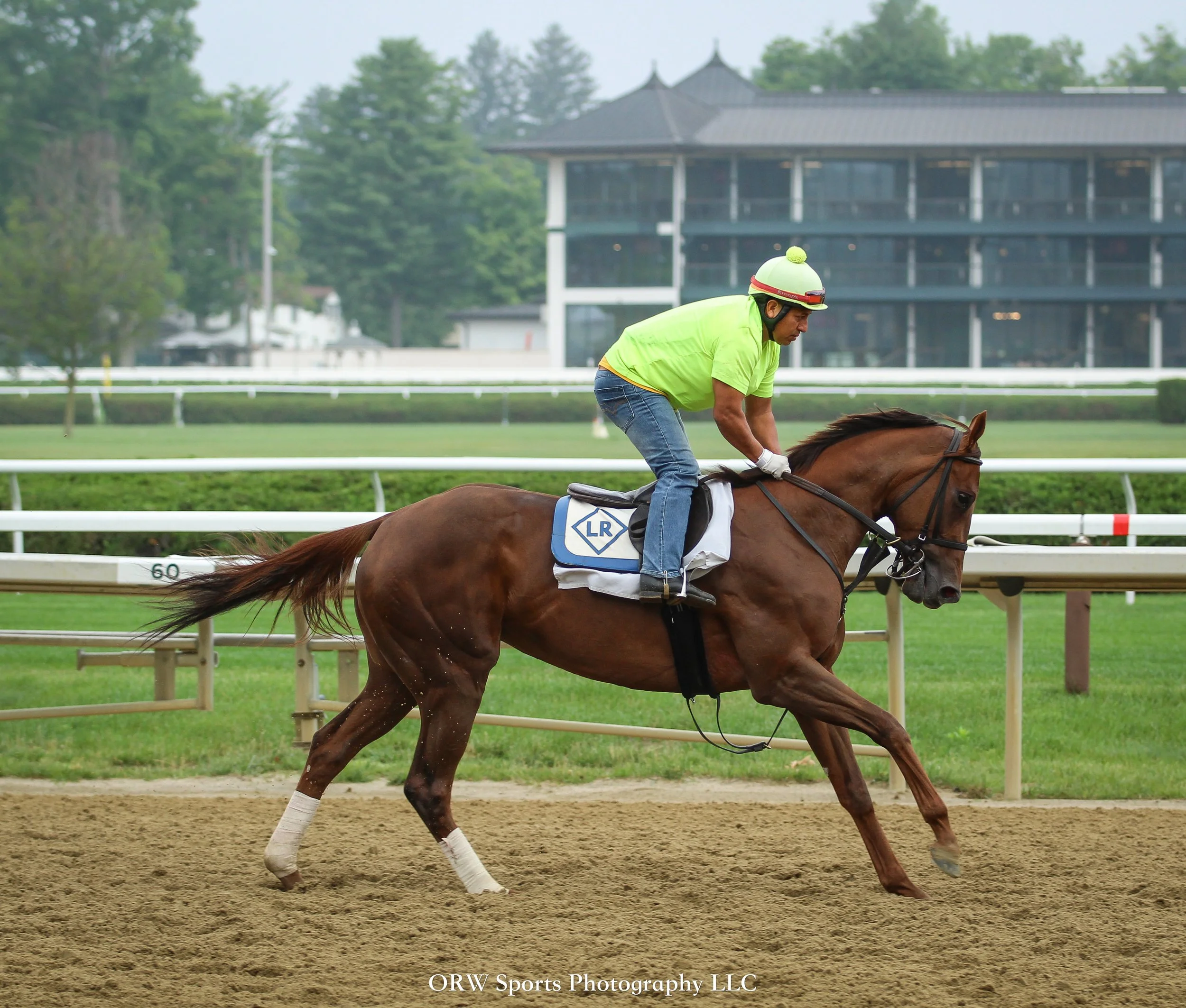 Linda Rice Trainee 