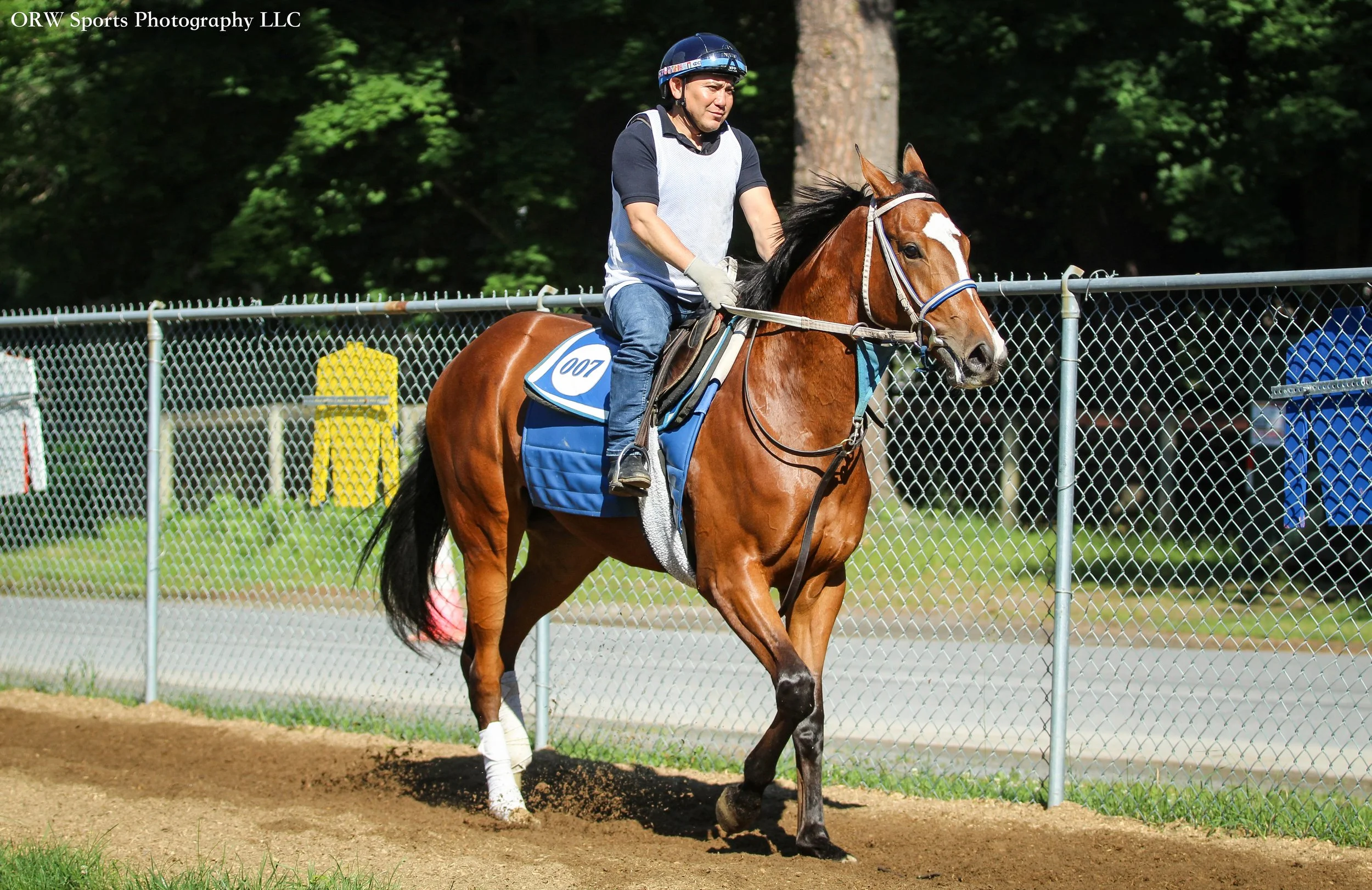 Tiz Justice 