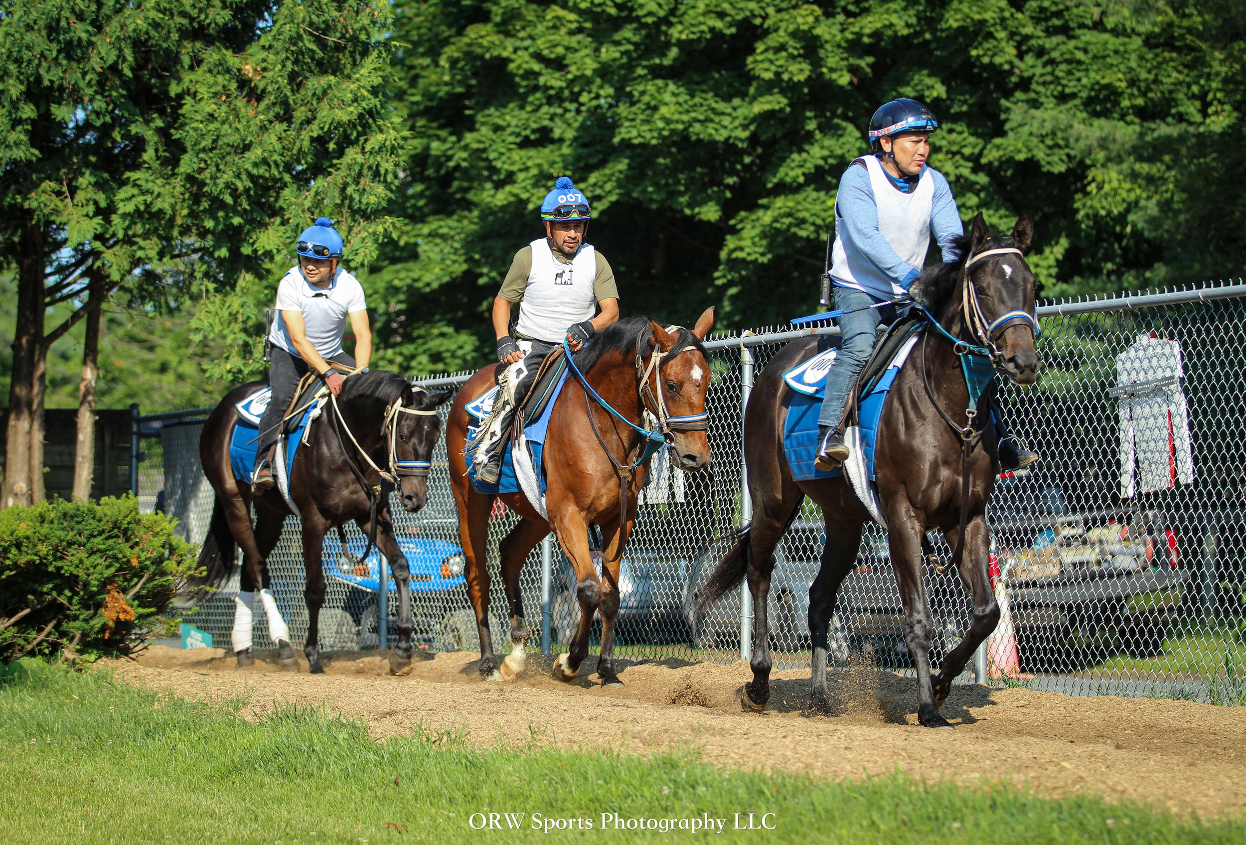 Grattamaco, Way Smart '24, and Colore 