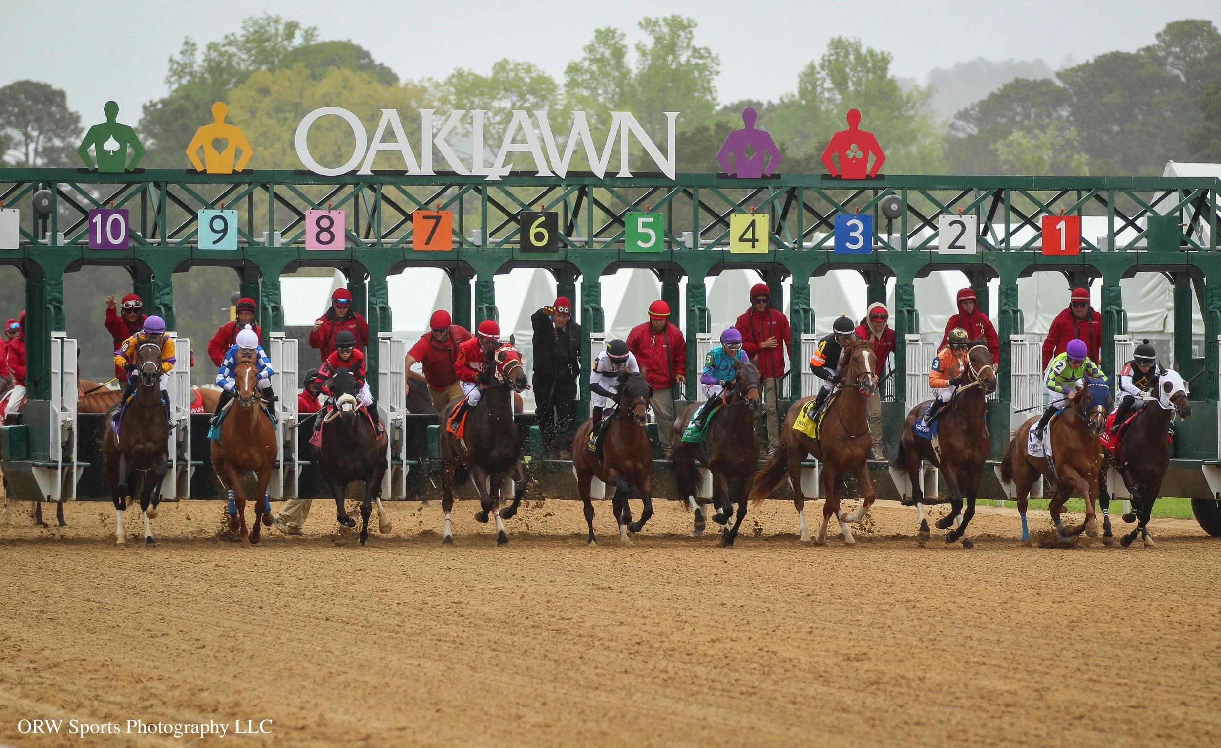 Race 6 