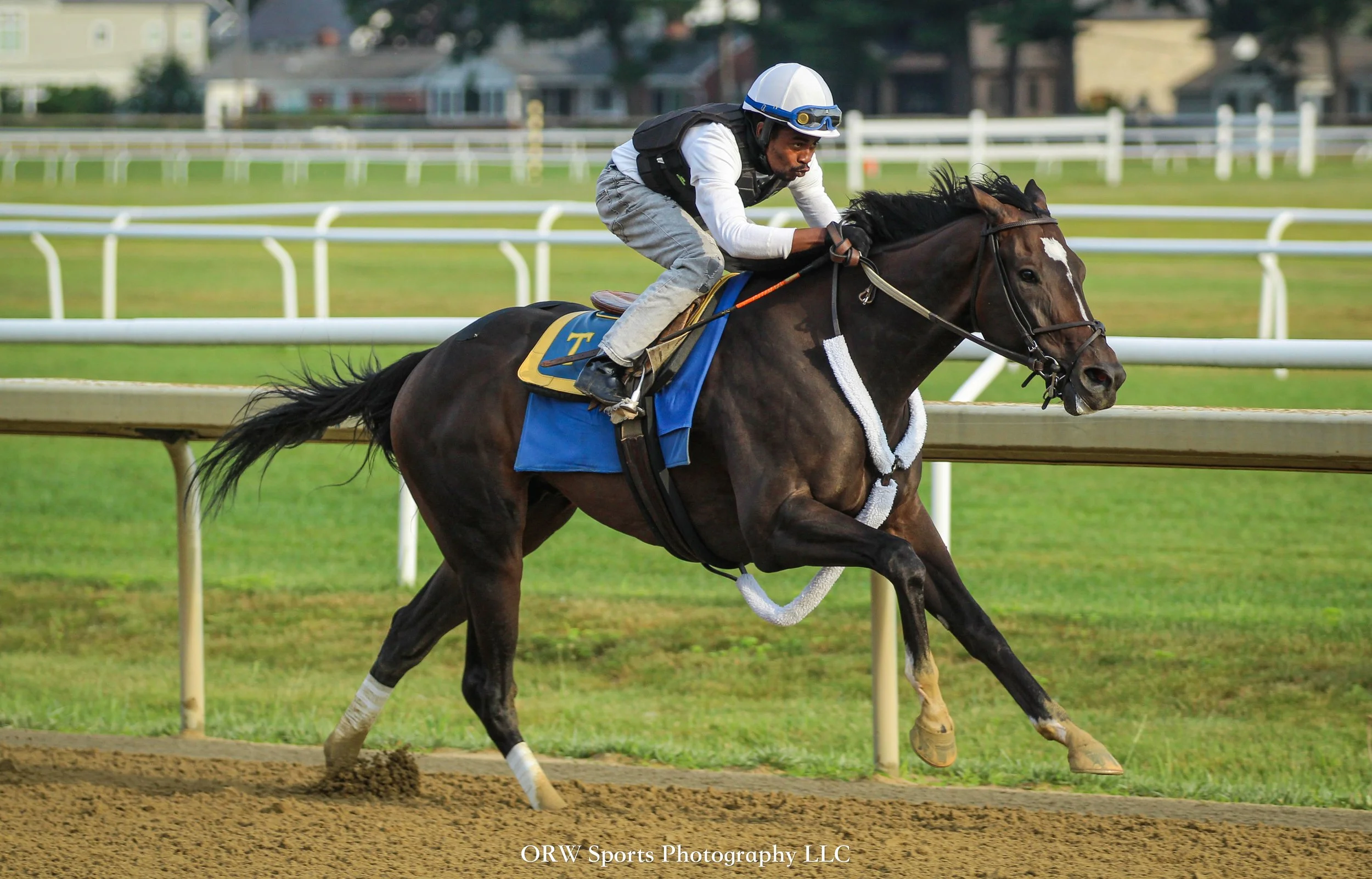Sea Vista worked 4 furlongs in the morning for trainer Mike Trombetta. The Street Sense gelding finished with a time of 47.40. 