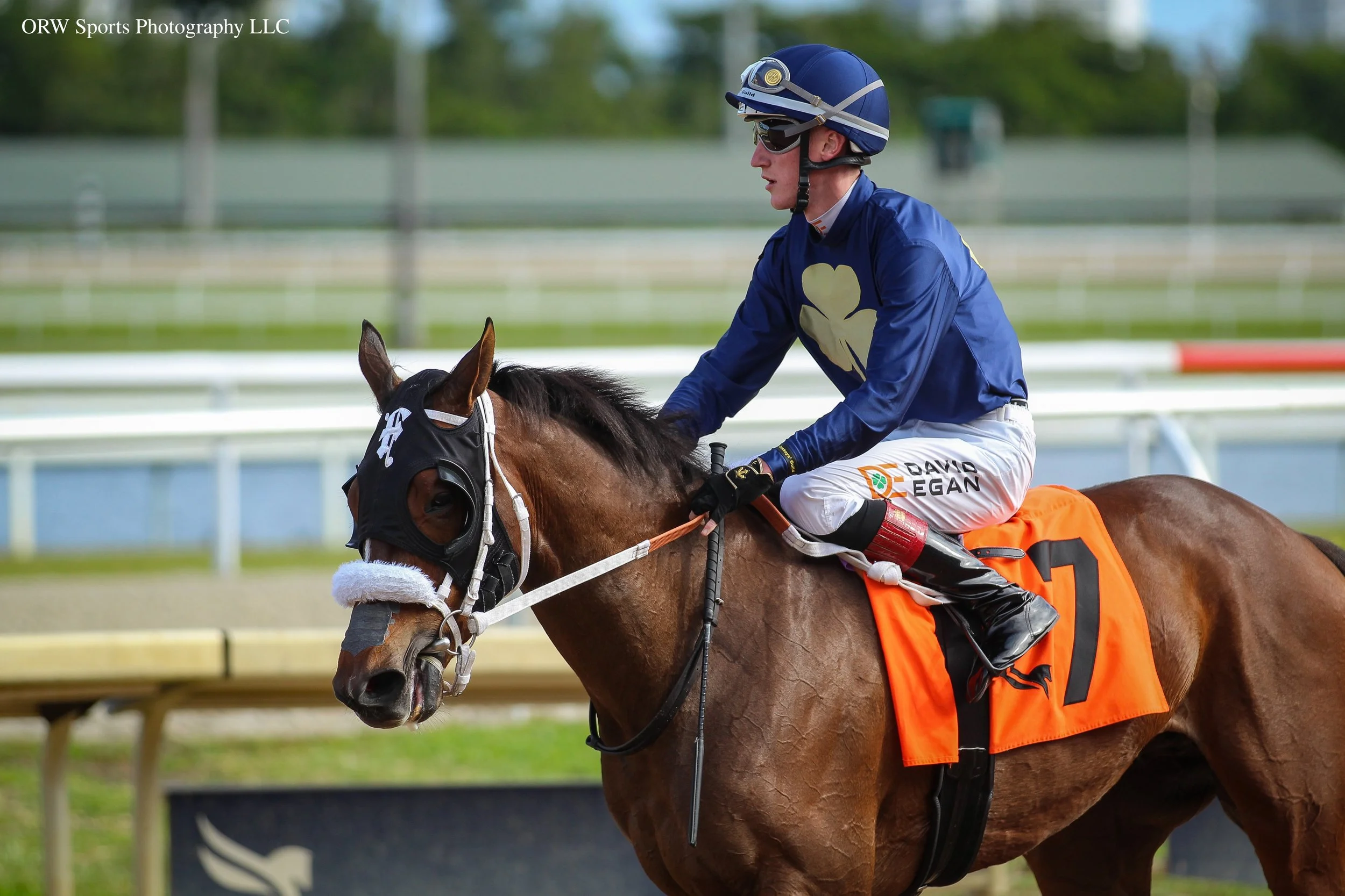 Try to Make Cents and David Egan (3).jpg