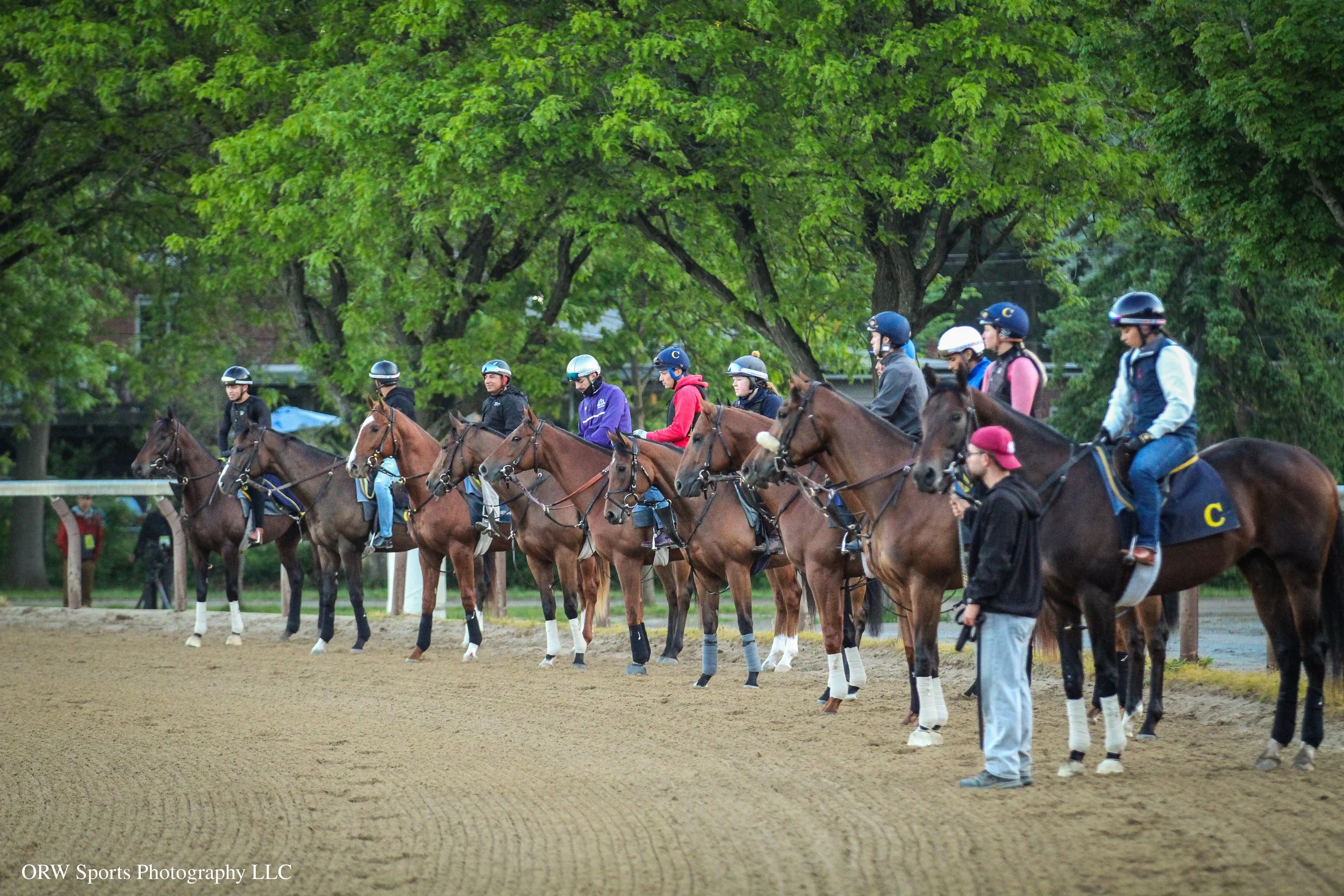 A string of Miguel Clement's trainees take in the scene before beginning their gallop