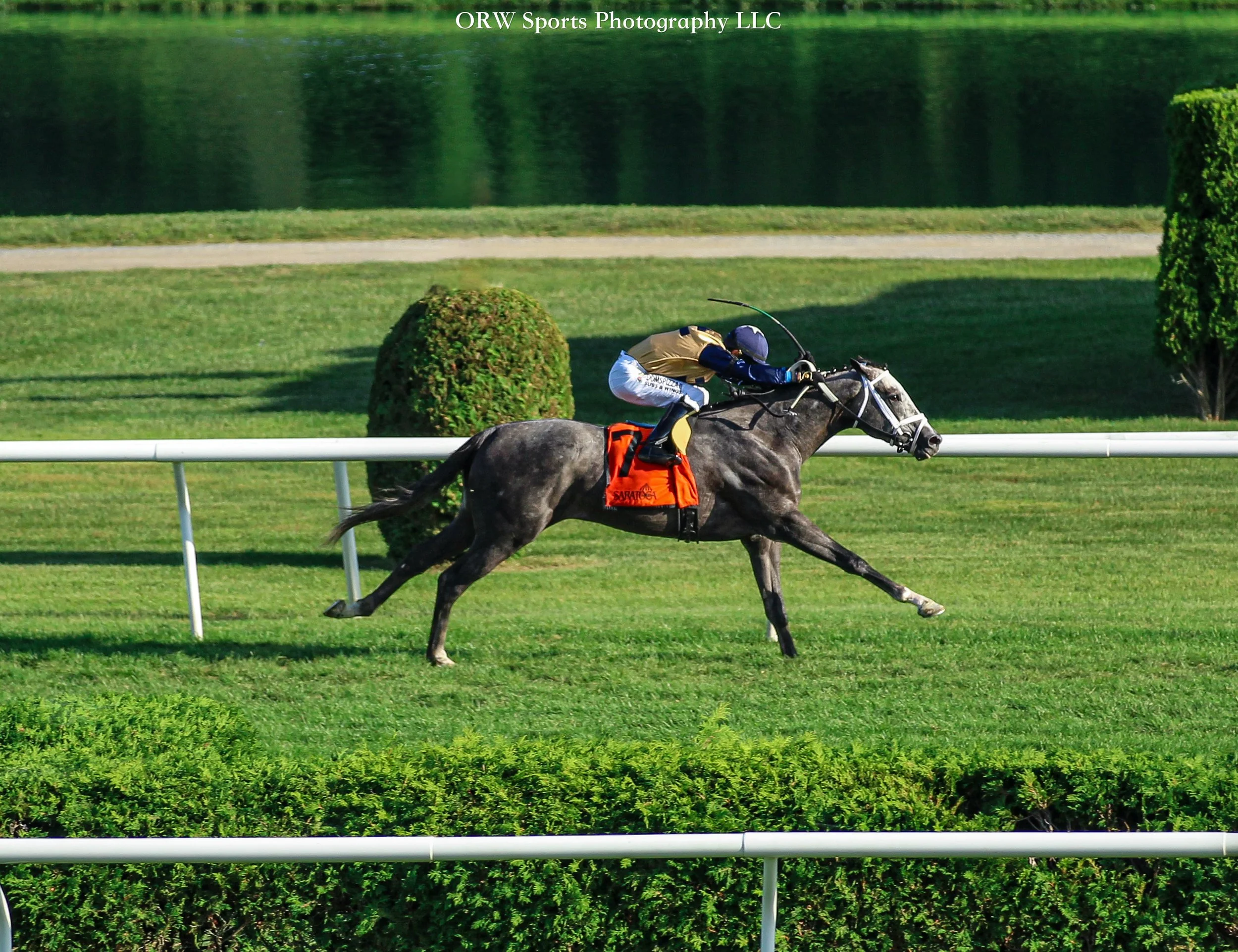 Siyouincanda gets his first stakes win in the Gio Ponti Stakes 