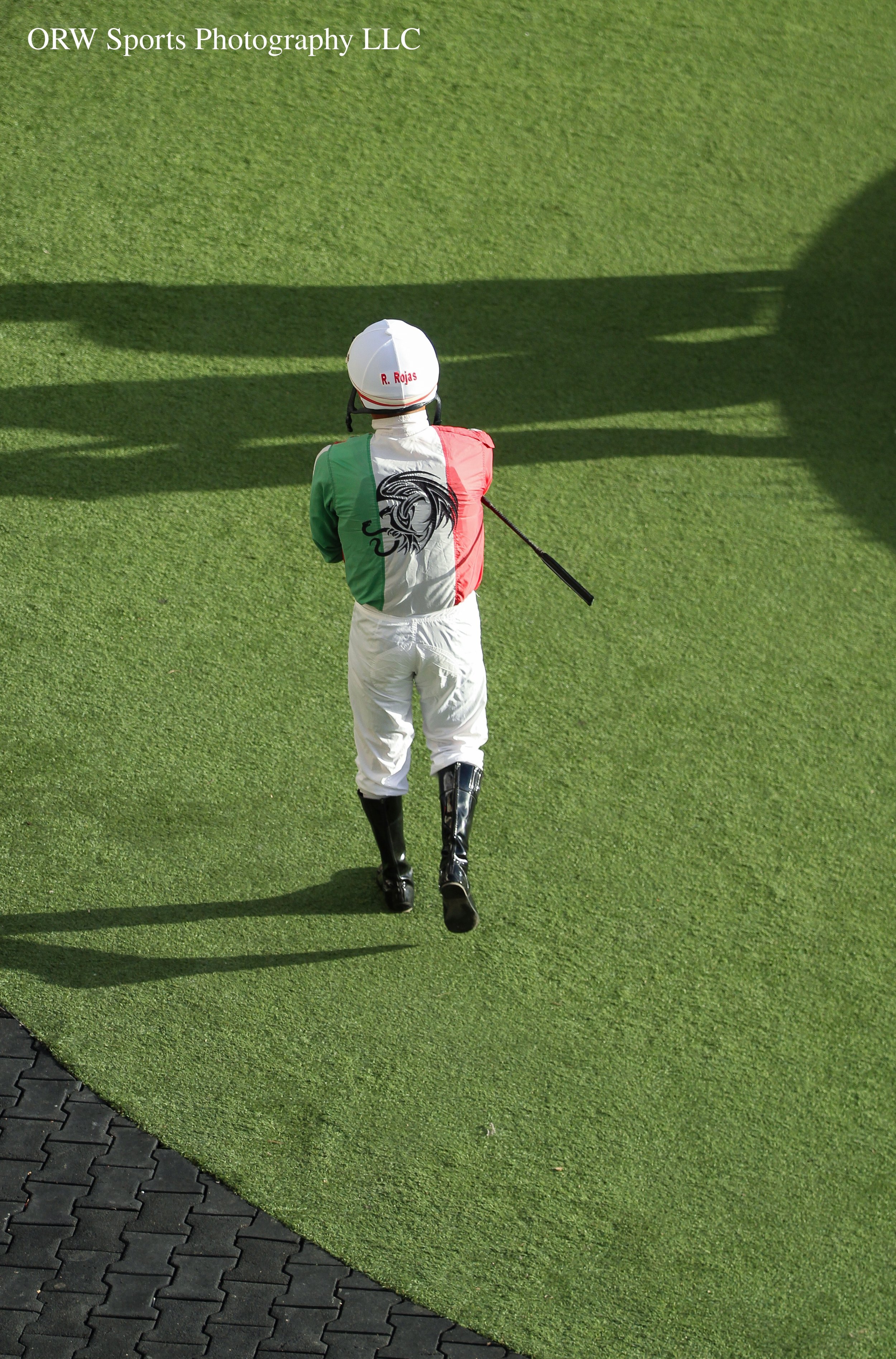 Renzo Rojas {Lizzardi} 