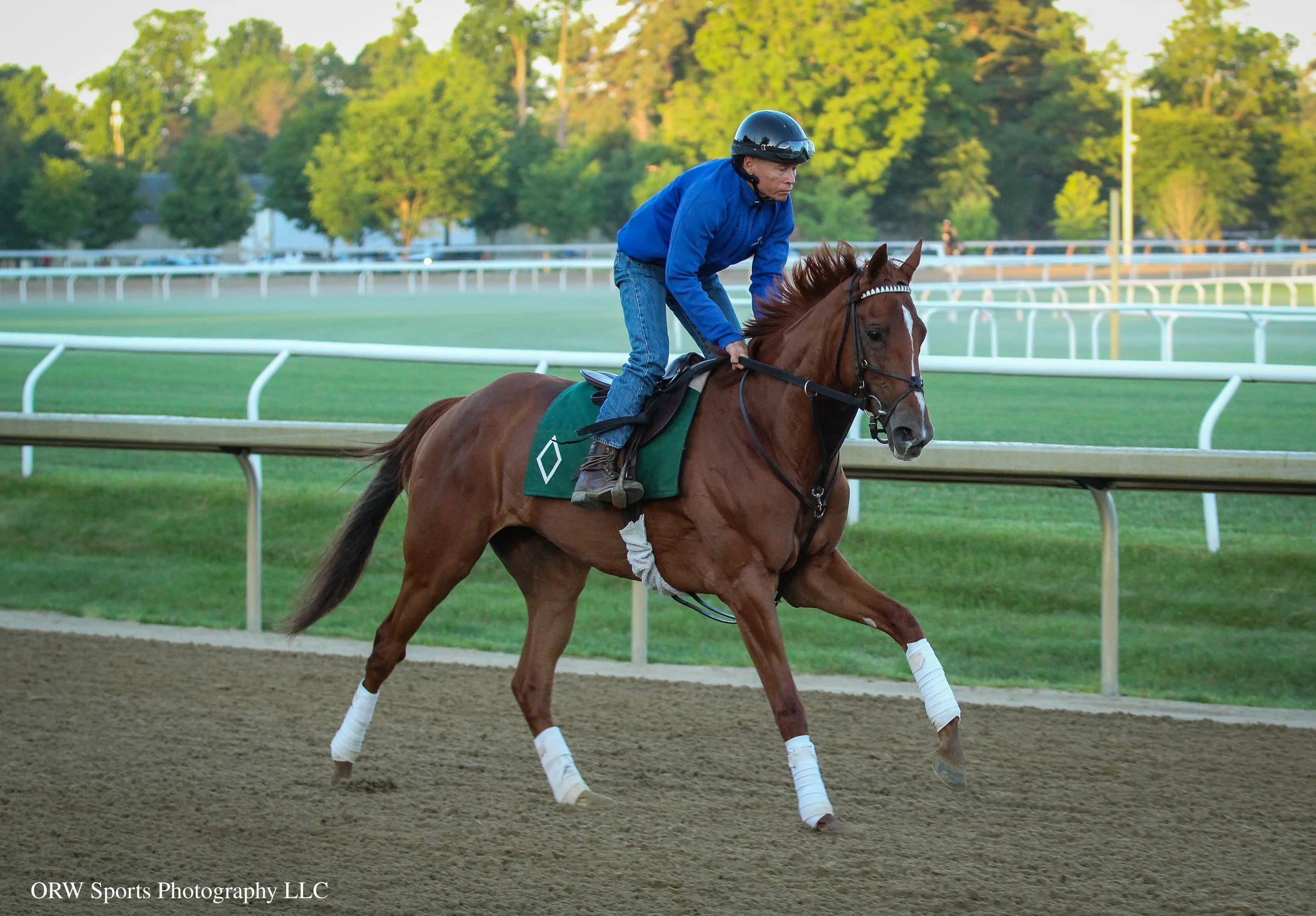 Quiet Street training ahead of her next start in the Grade 2 Wonder Again Stakes