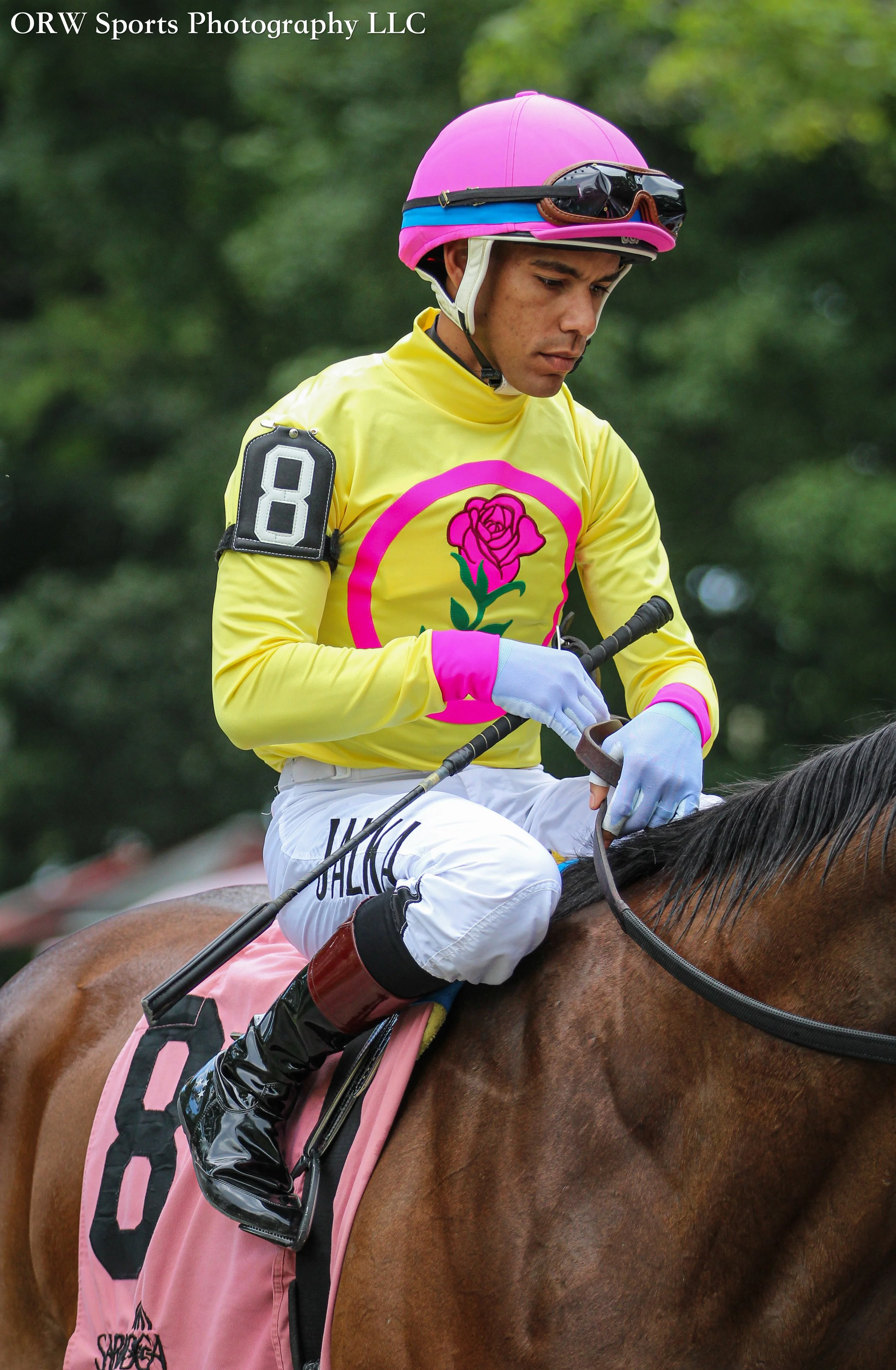 Jaime Rodriguez {Dubb} 