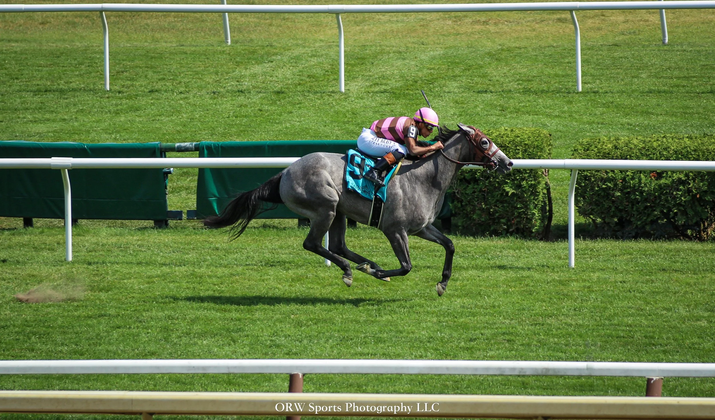 Side Quest wins on debut for trainer Will Walden 