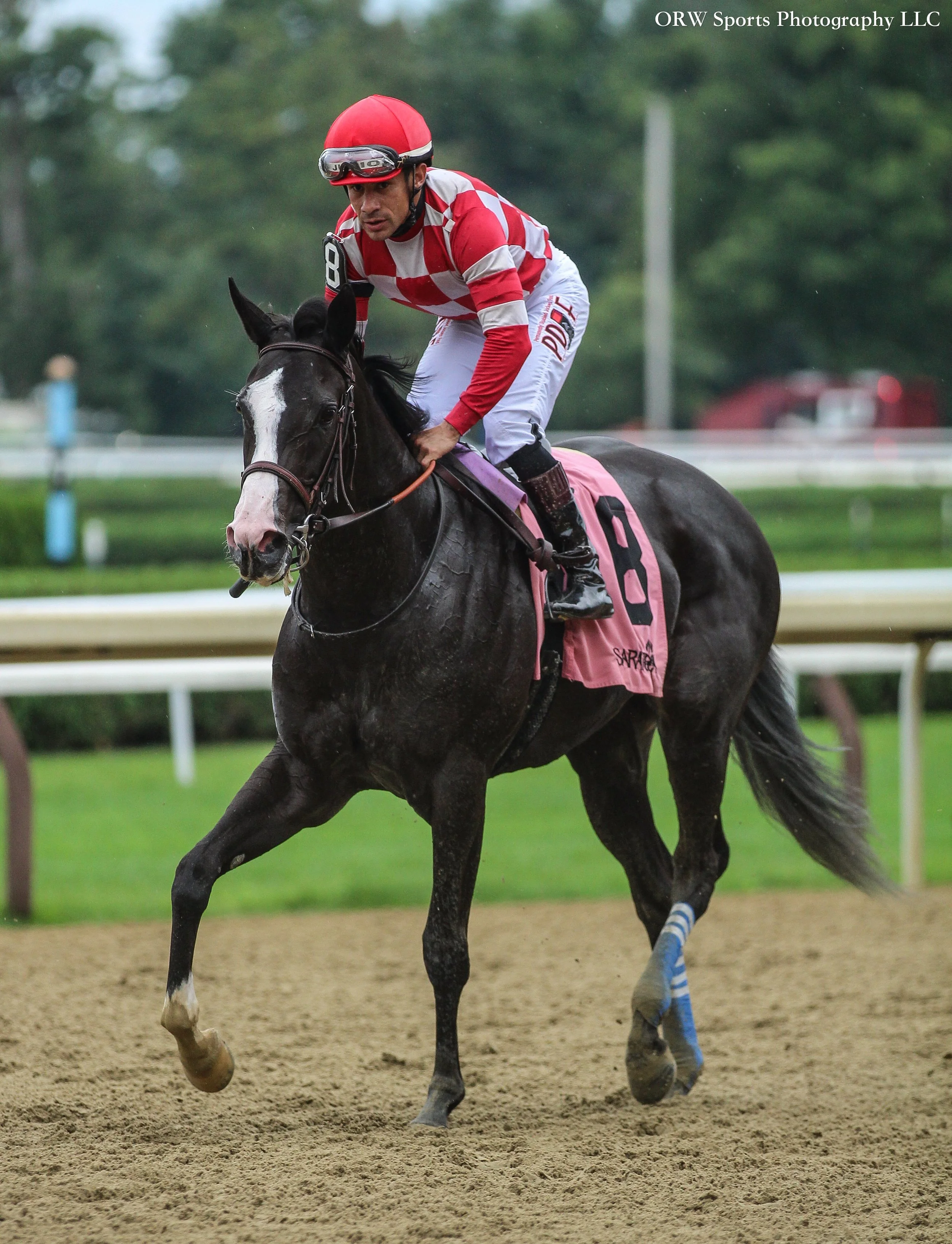 The filly by Not This Time remains undefeated 
