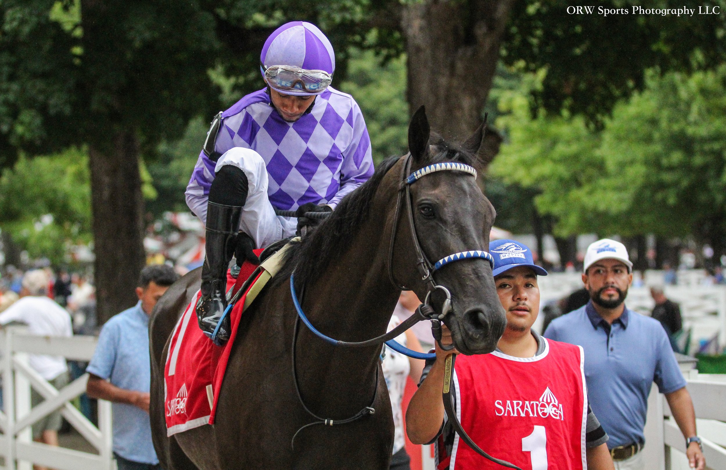 Midnight Concerto and Manny Franco 