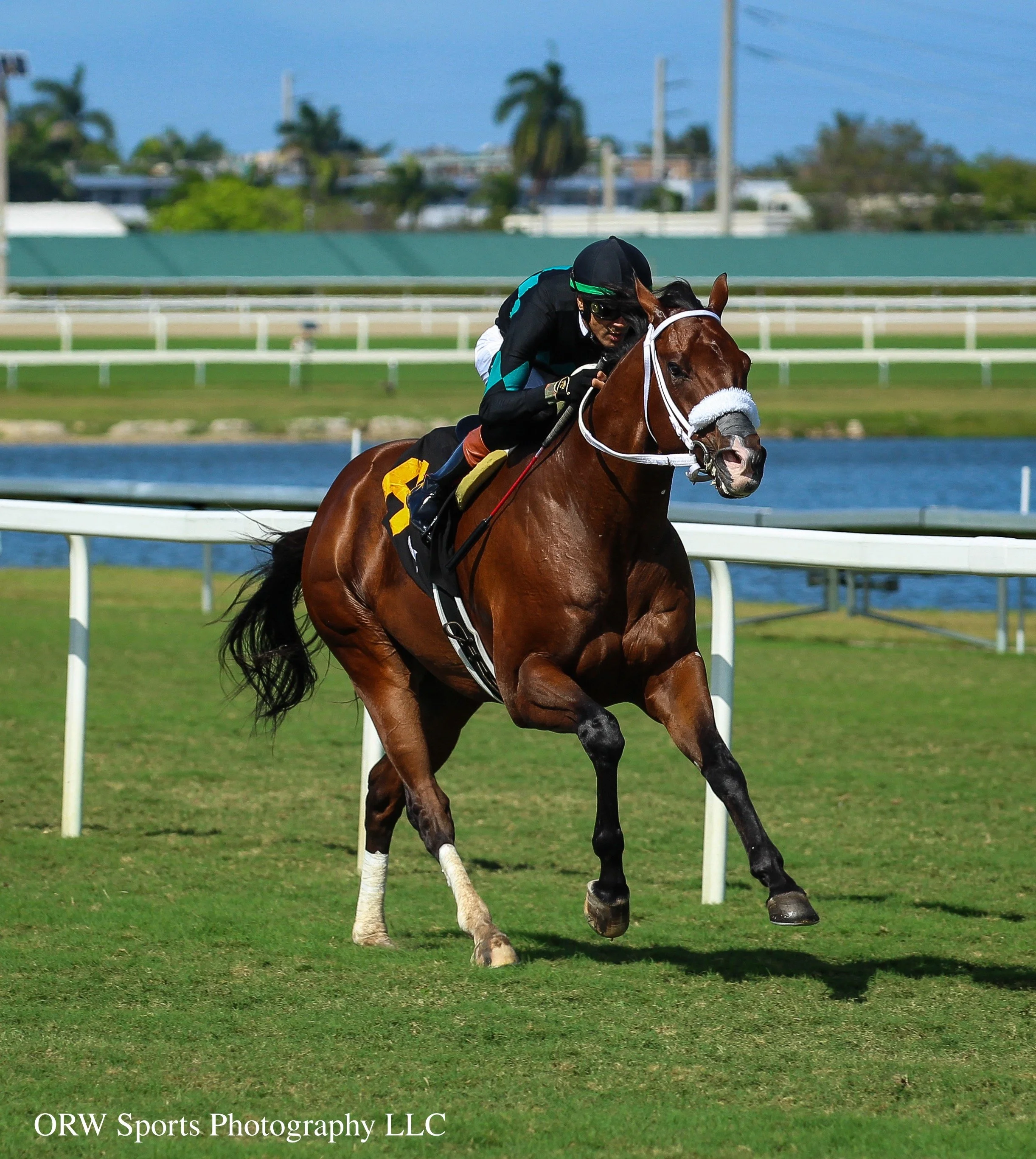 Speed Figures and Edwin Gonzalez 