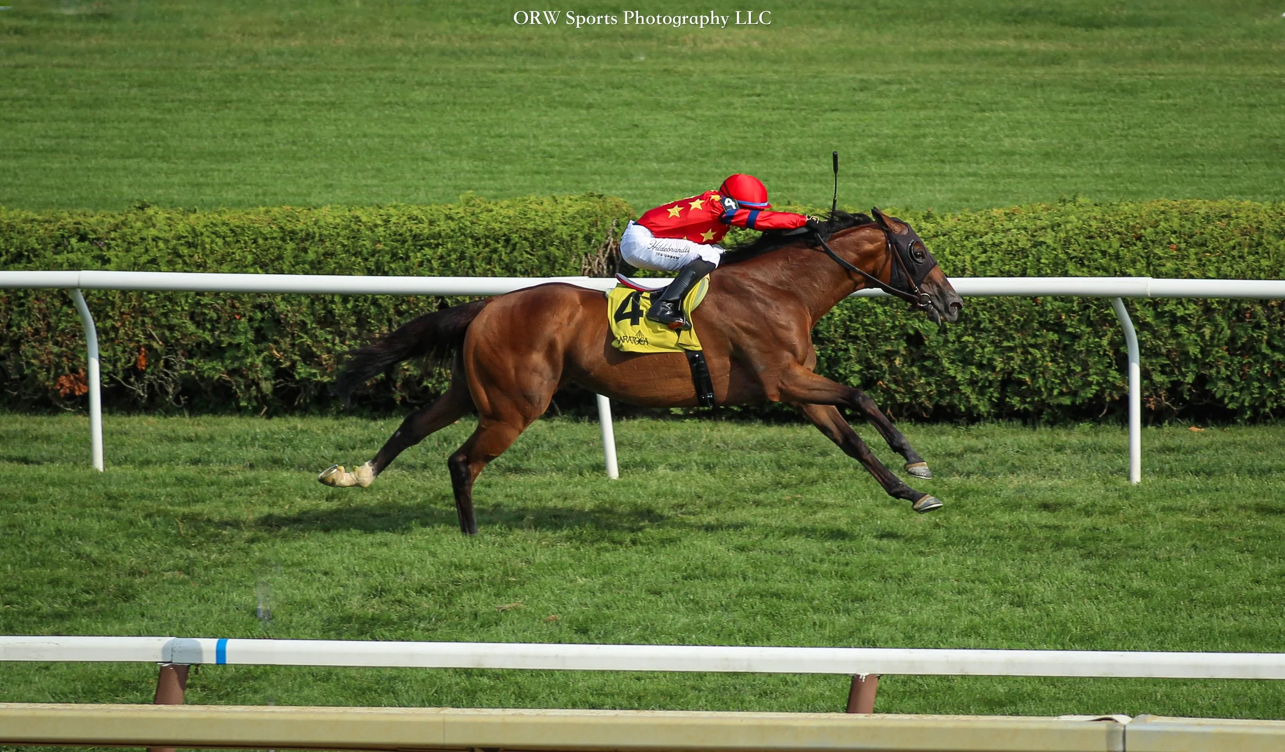 Twenty Six Black and Manny Franco takes the Harvey Pack Stakes 