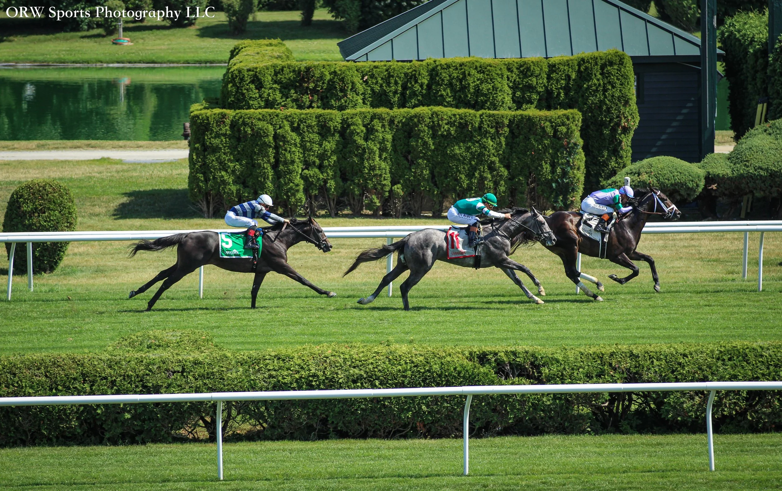 Liam's Law takes race 4 over And the Runner Is and Berta's Stitch 