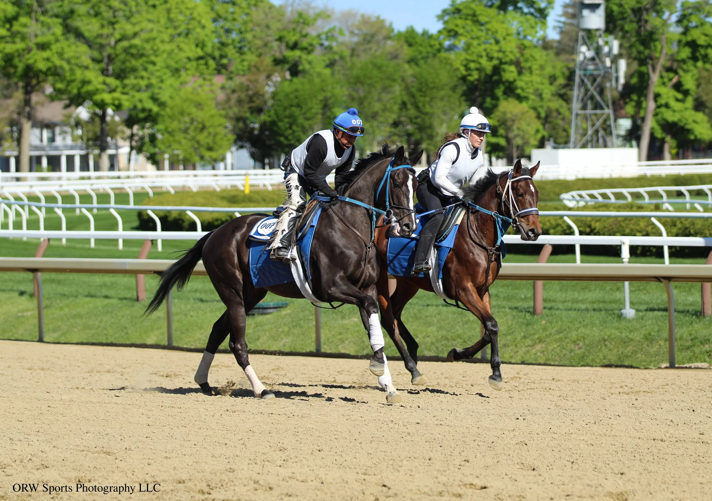 Mosconi and Bossona