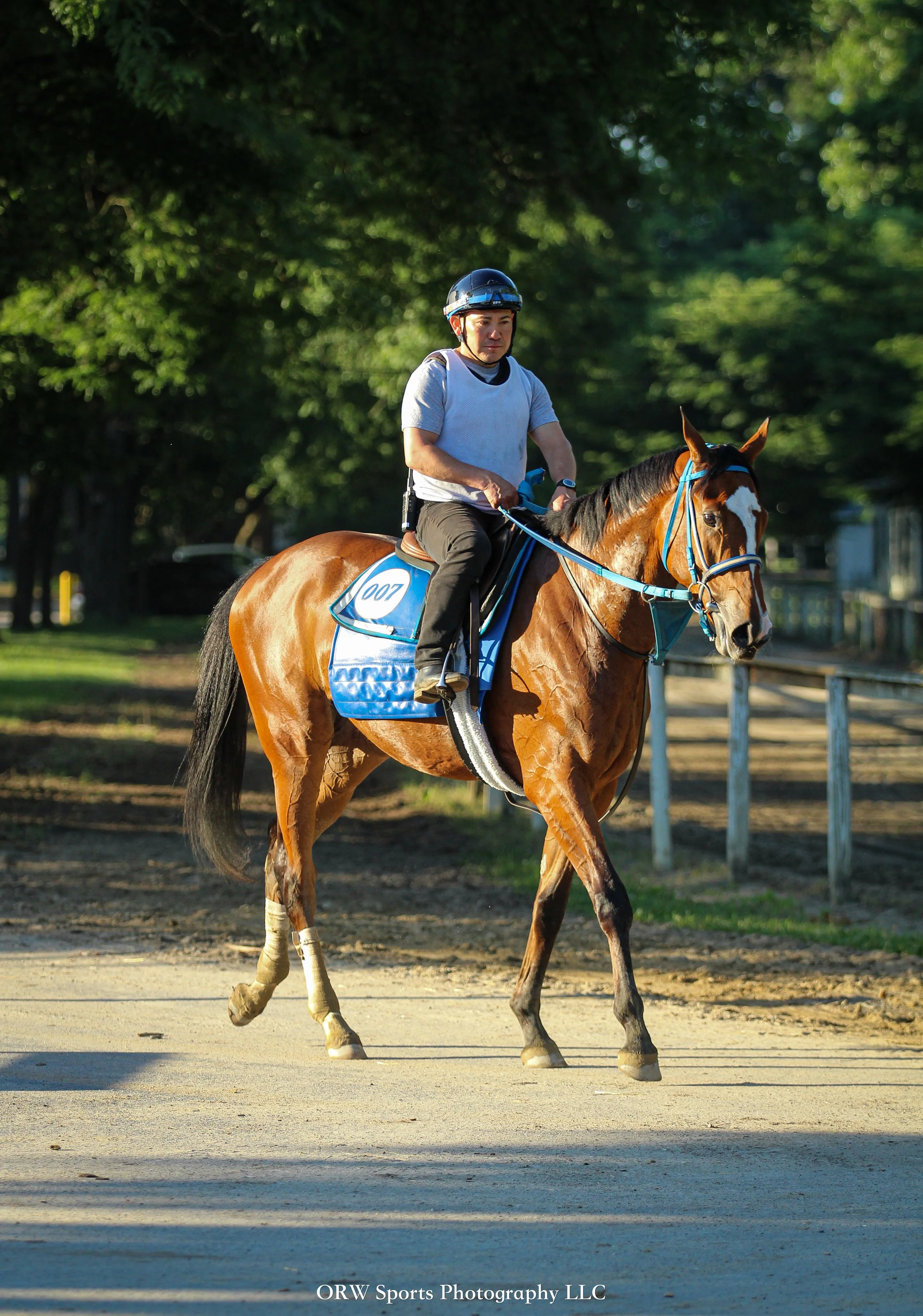 Tiz Justice 