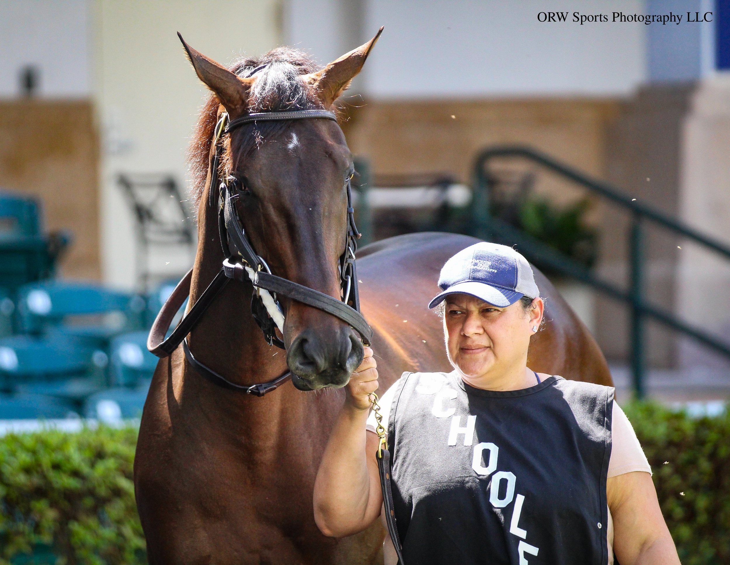 Concord Green - Schooling (2).jpg