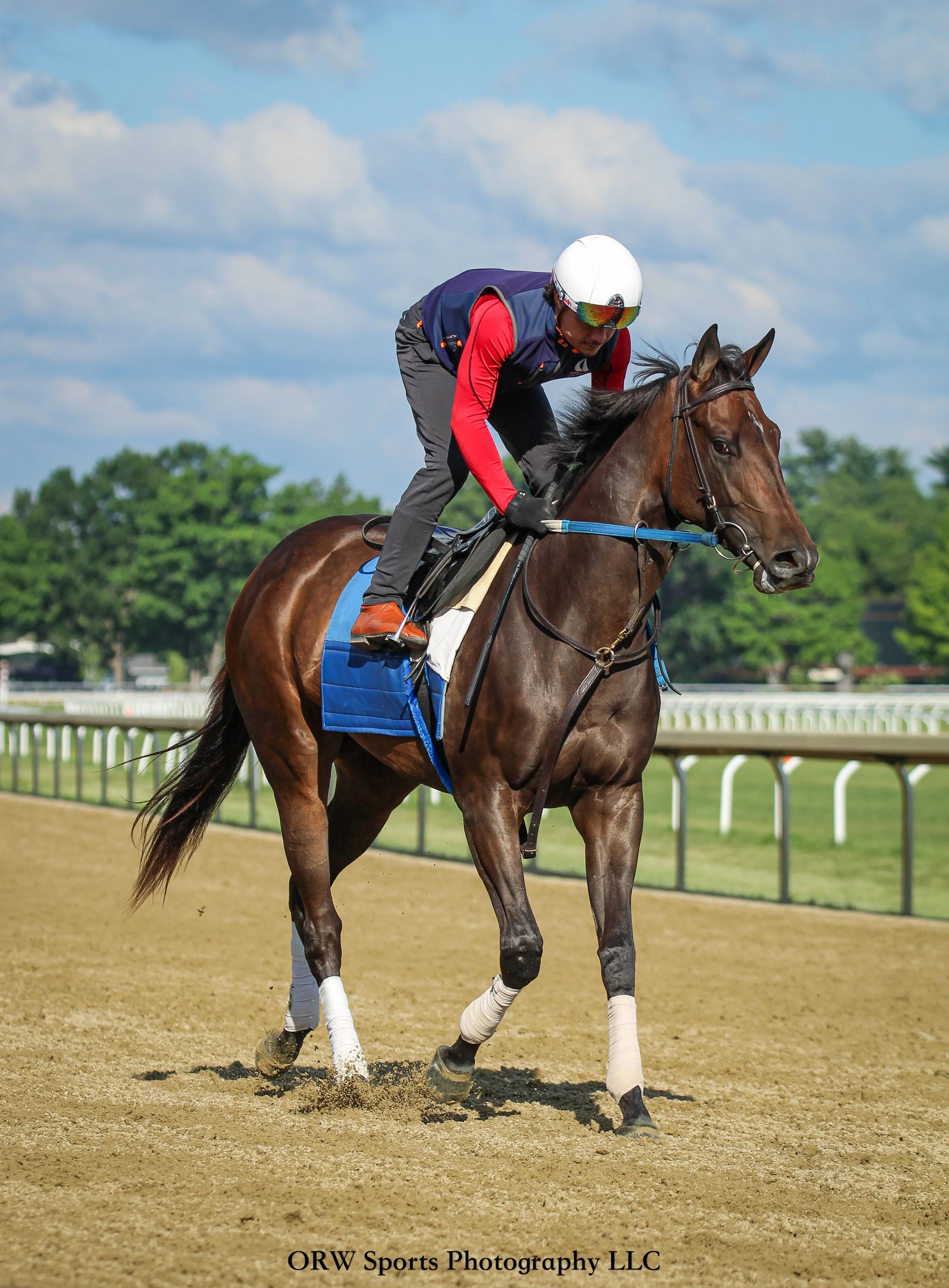 Steve Asmussen Trainee