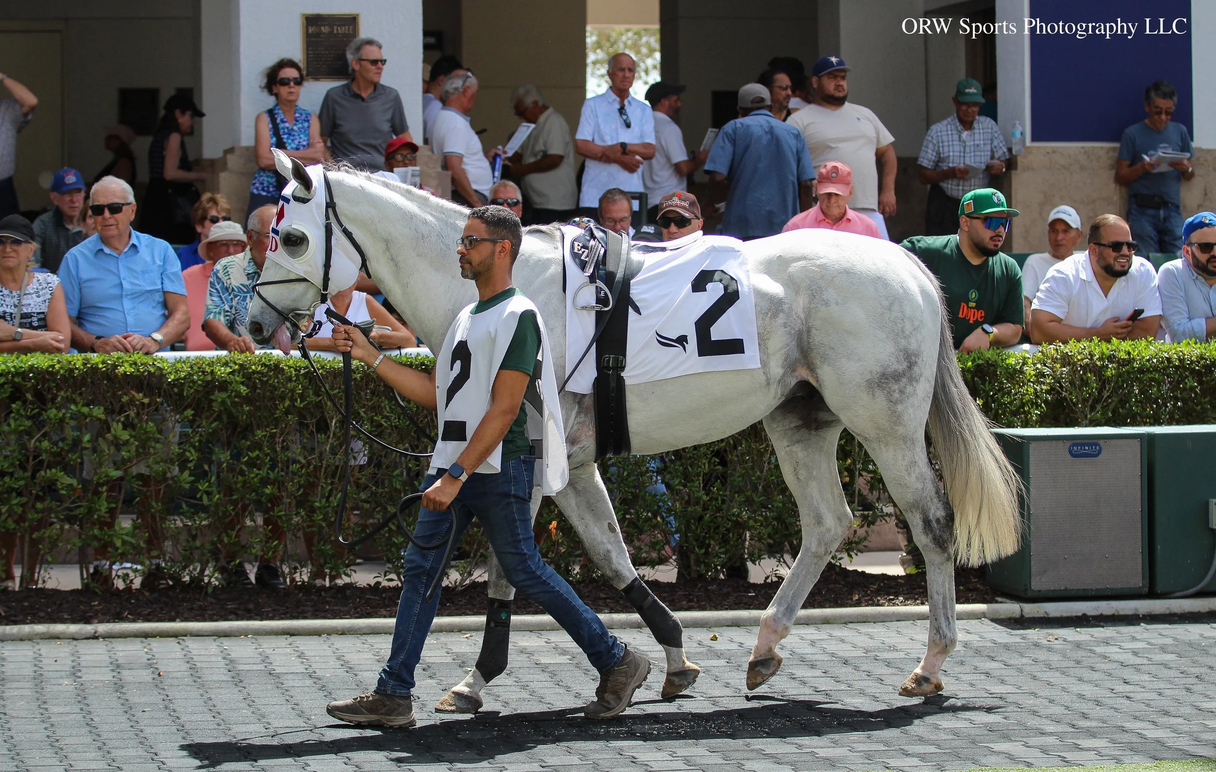 Corso's Pick (4).jpg