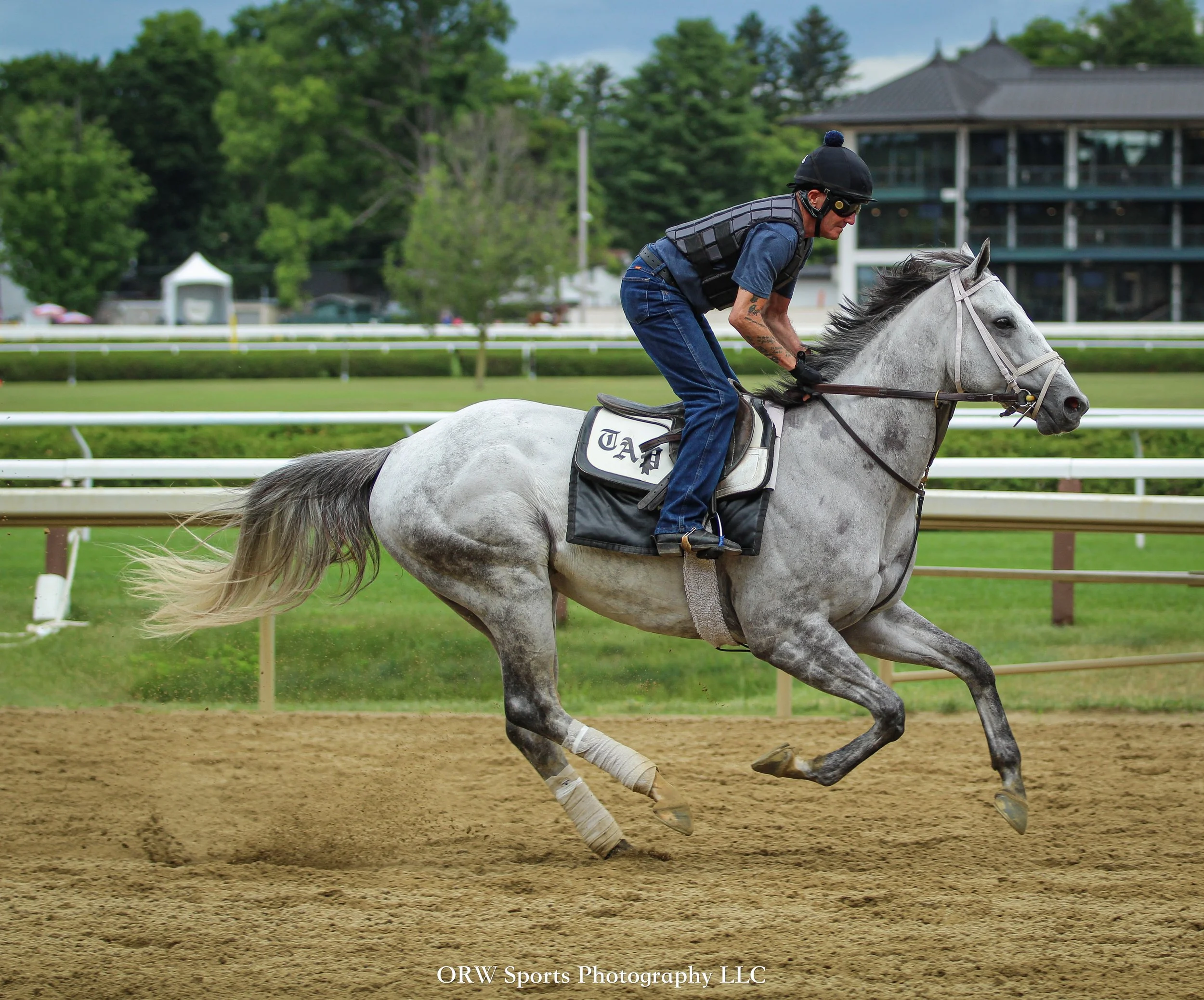 Todd Pletcher Trainee