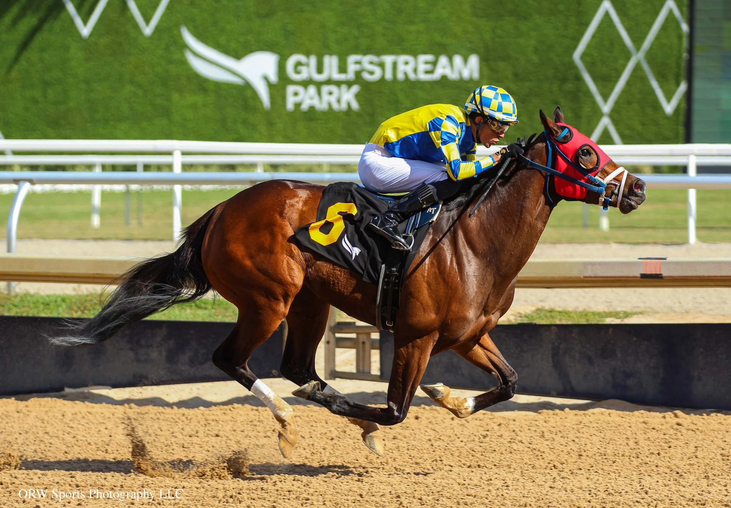 Five Eyes Onmichel and Yolber Torres 