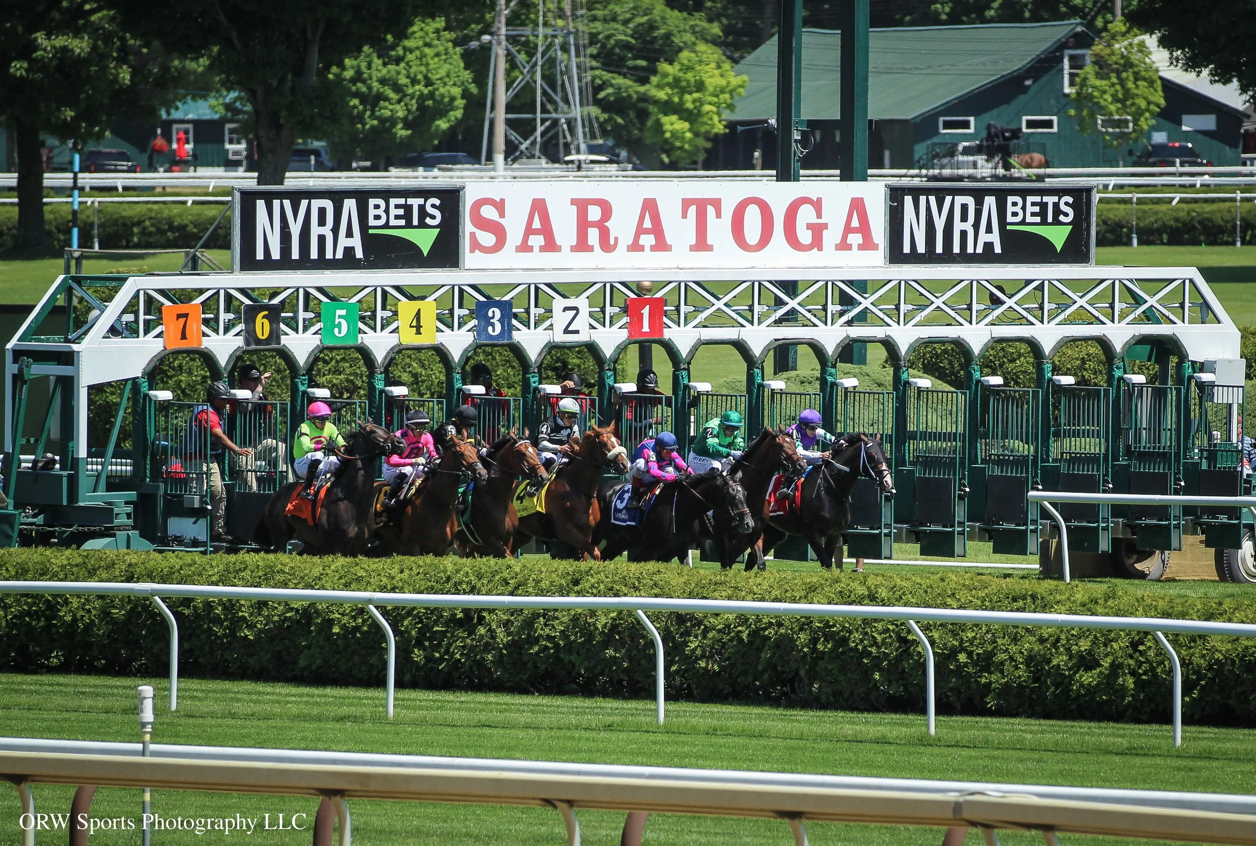 And they're off in the Kingston Stakes