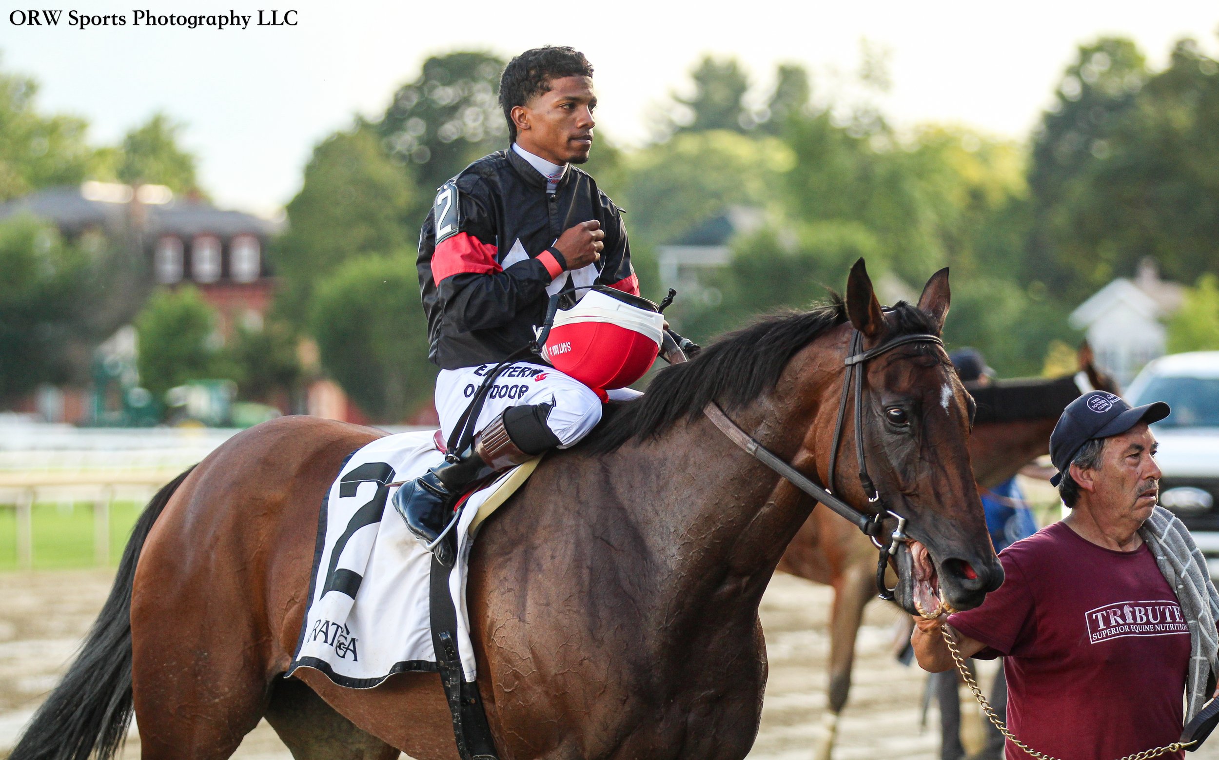 race winners 