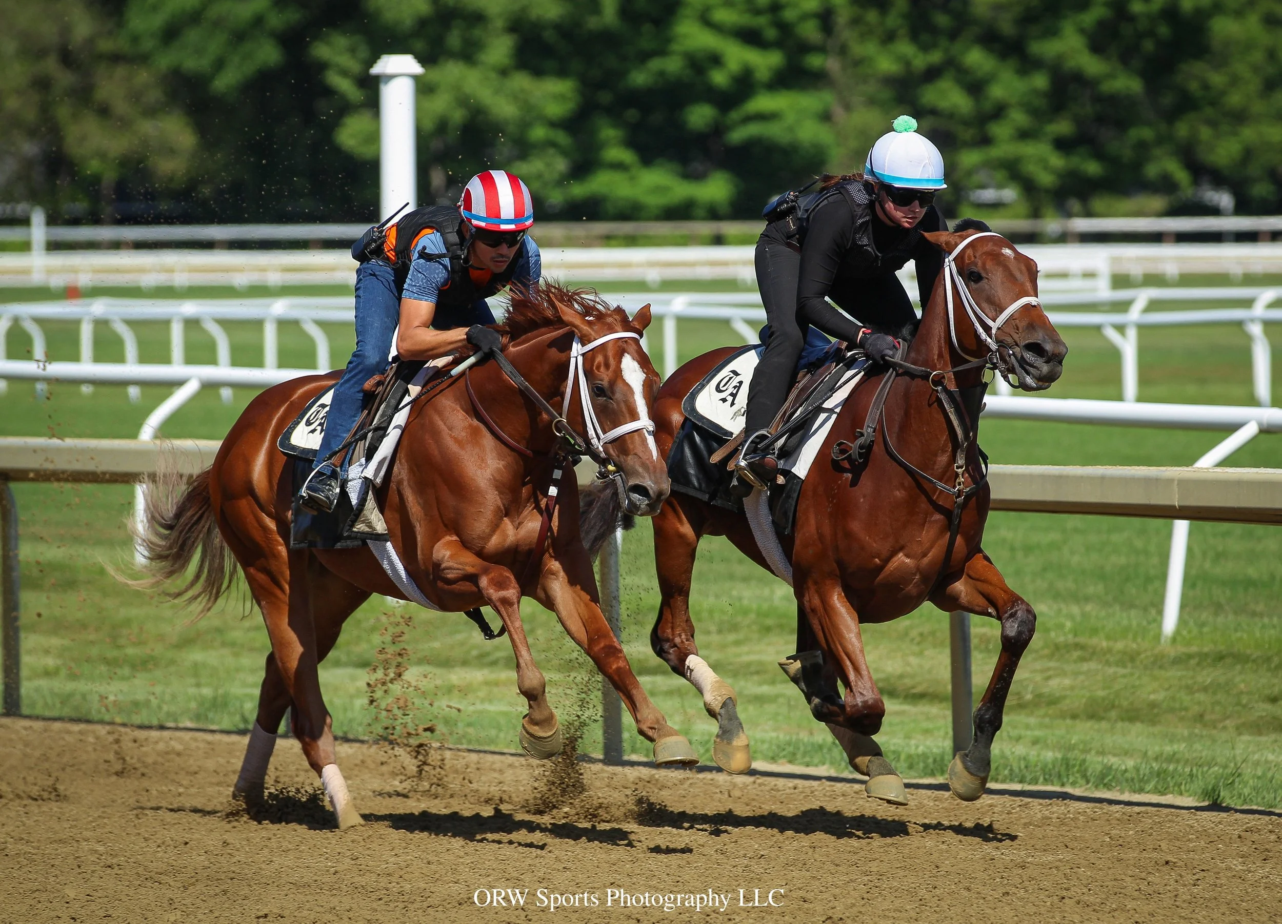 Pletcher Trainees 