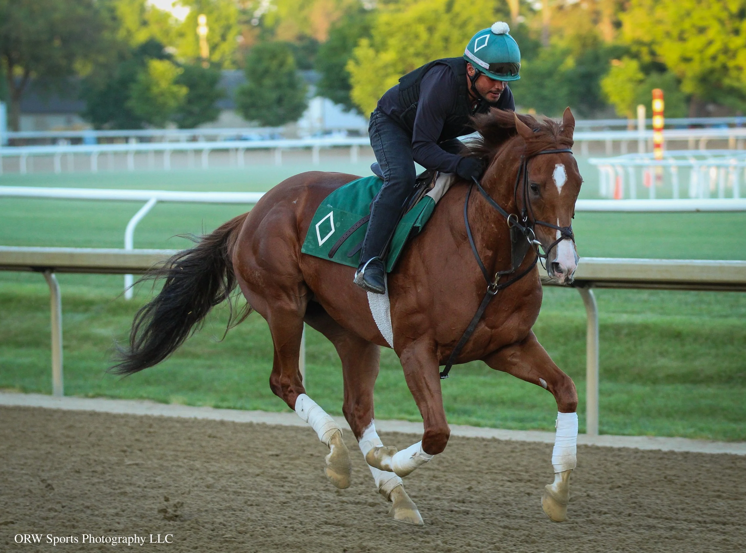 Bold Journey training ahead of his start in the Grade 1 Jaipur Stakes