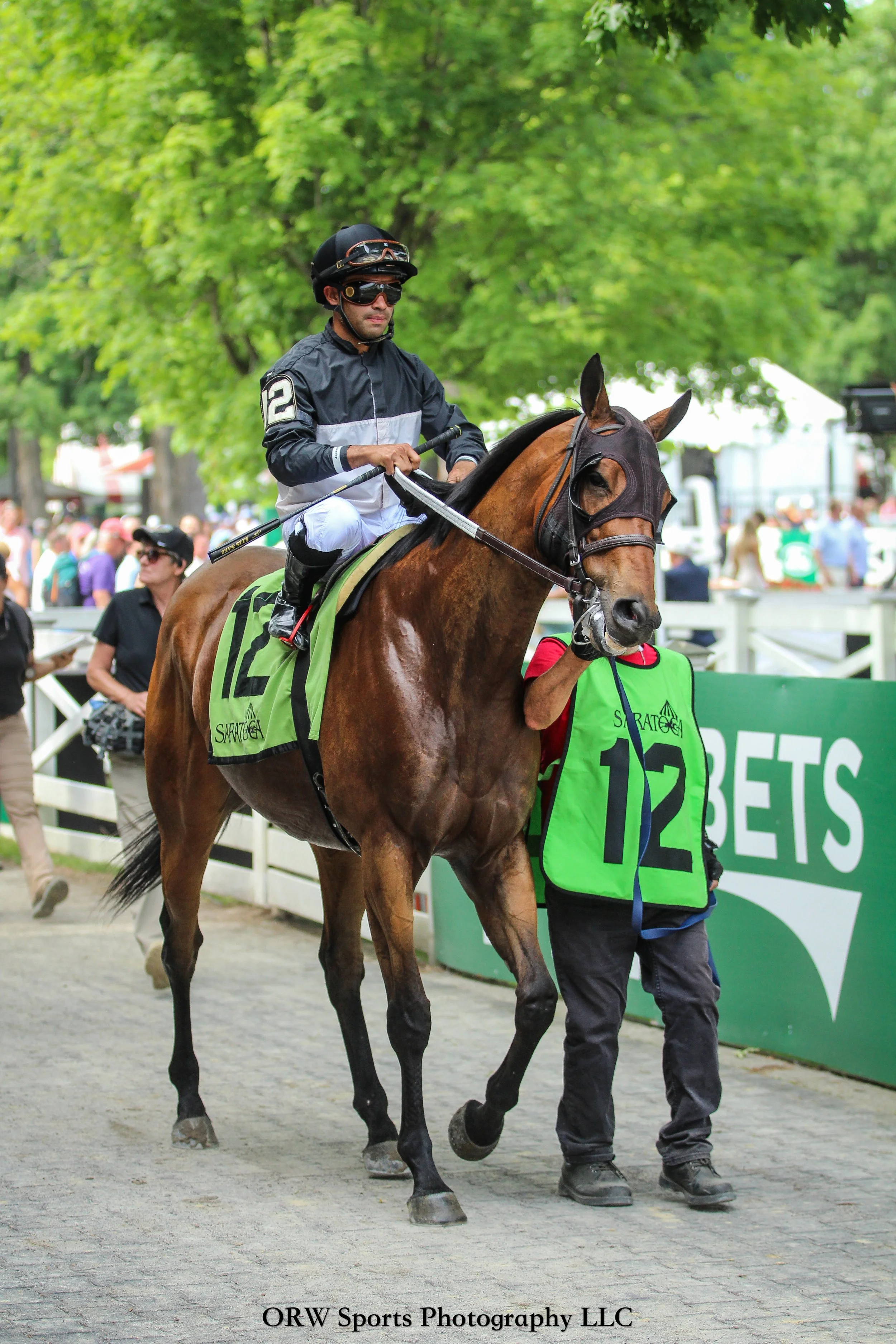 Determined Kingdom and Luis Saez
