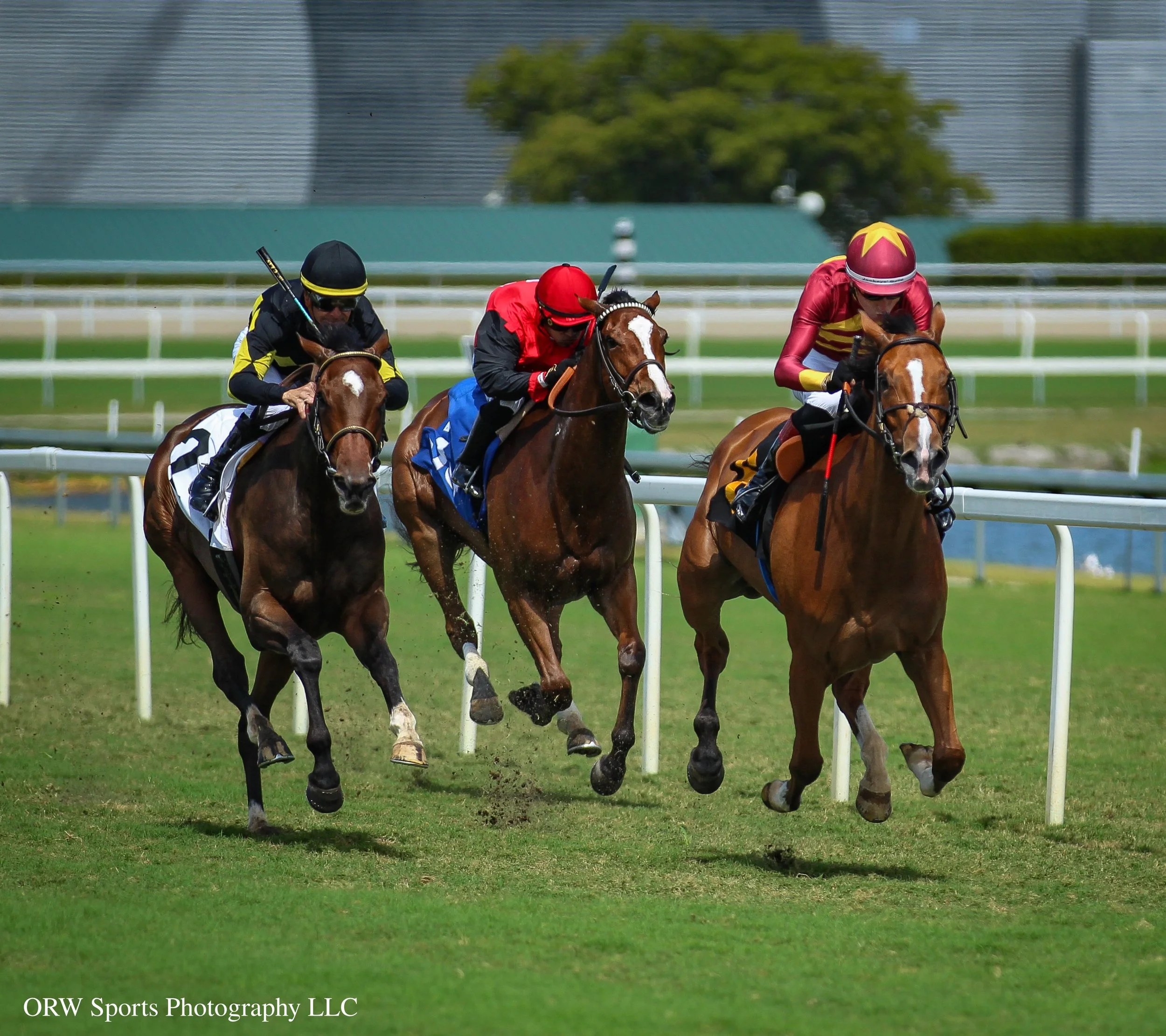 Rules and Regs, Fletch's Rockette, and Trust Account 