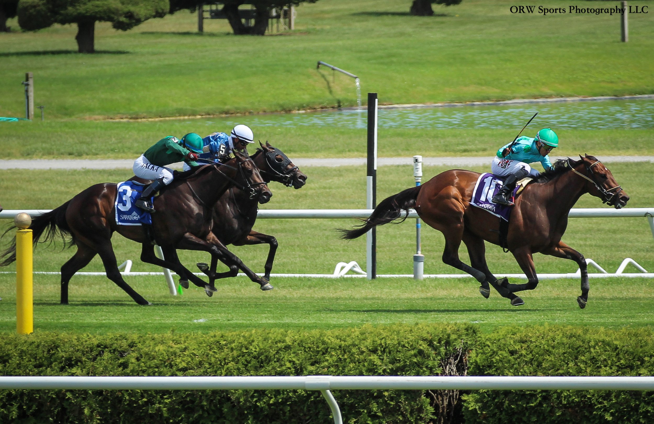 New Rose takes Race 6 .jpg