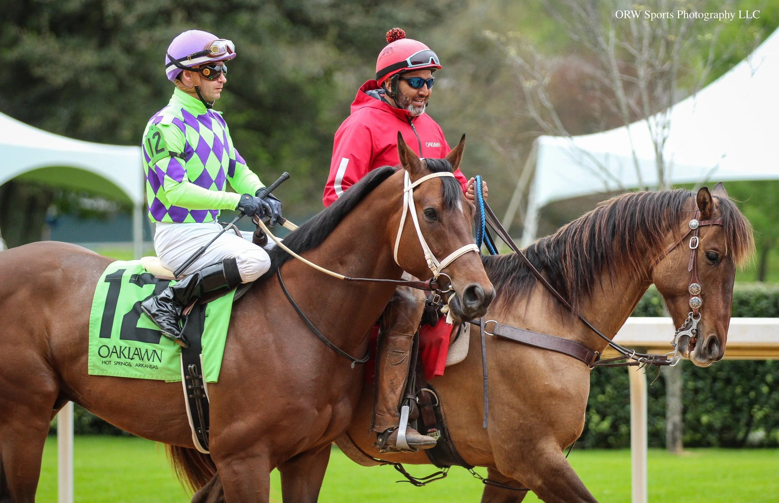 Matt's Luck and David Cohen 