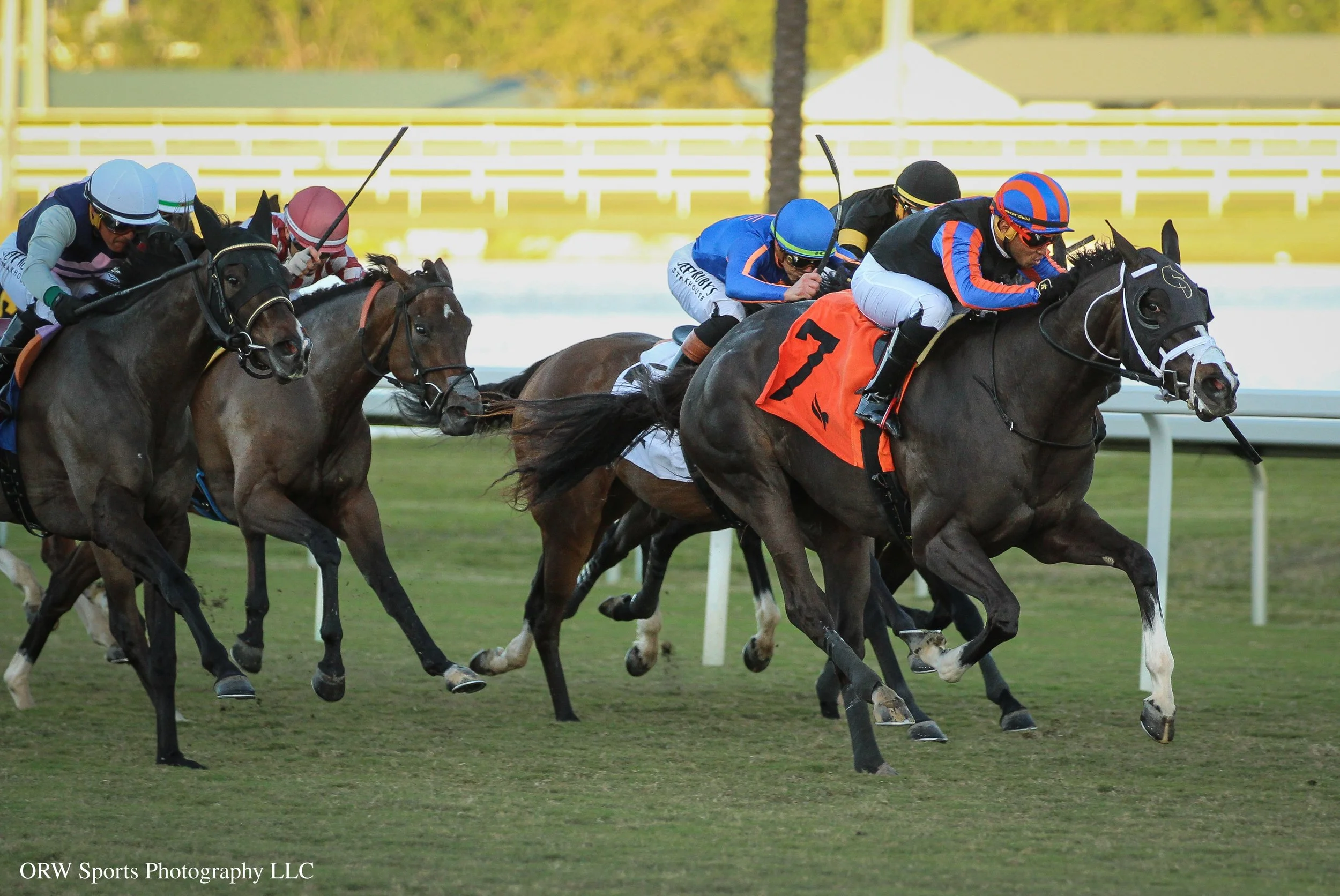 One Sweet Girl leads from challengers (2).jpg