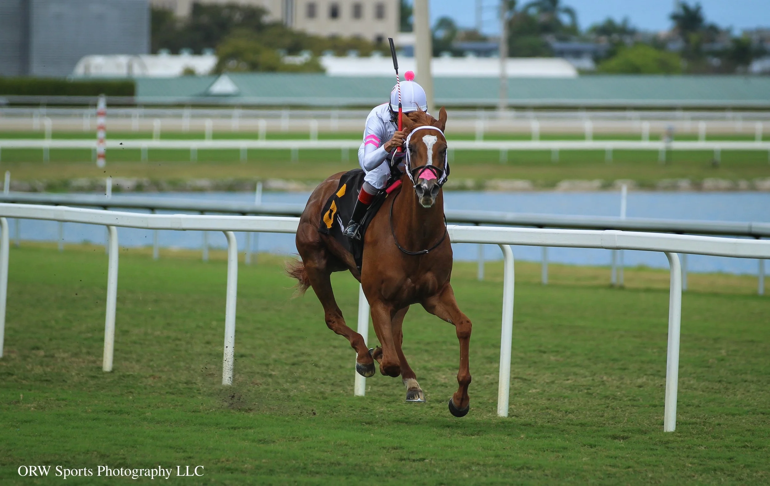 Oscar Bound and Shuan Bridgmohan (2).jpg