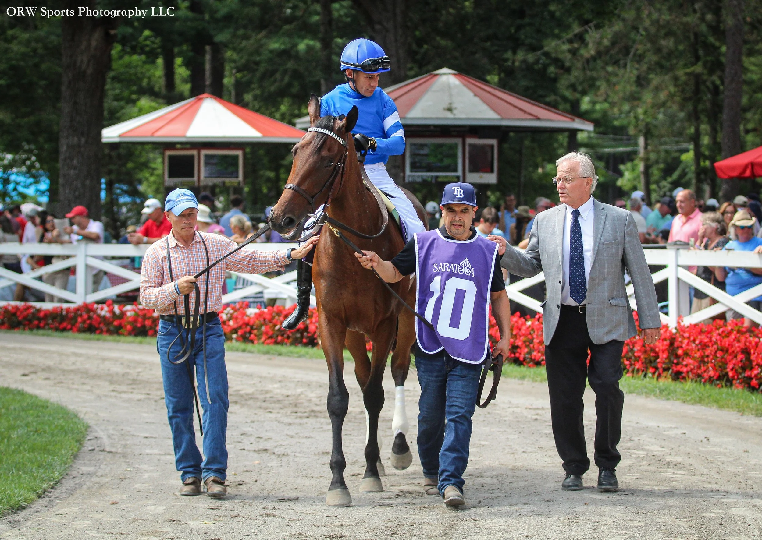Joy of Life, Junior Alvarado, and Bill Mott 