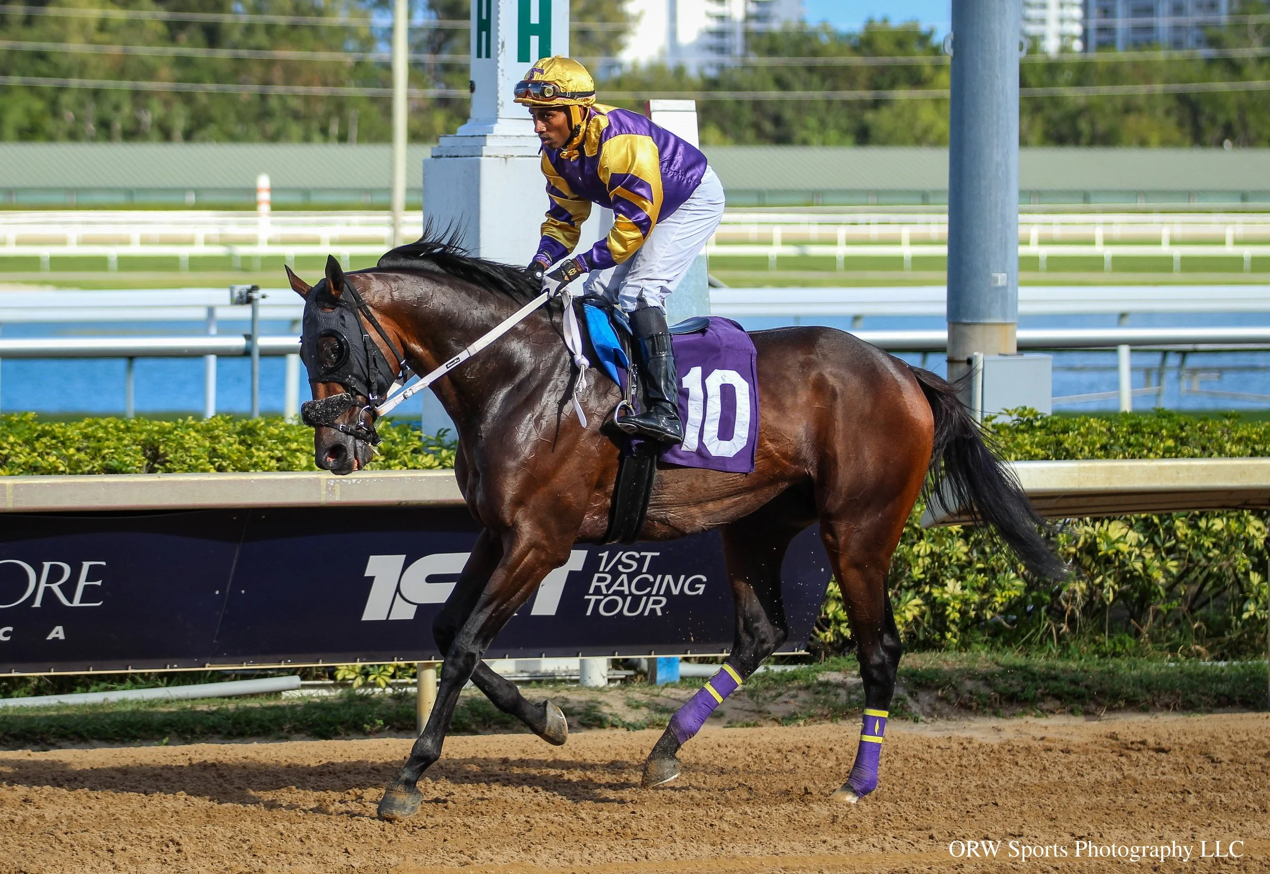 Oasis Prince and Romero Maragh