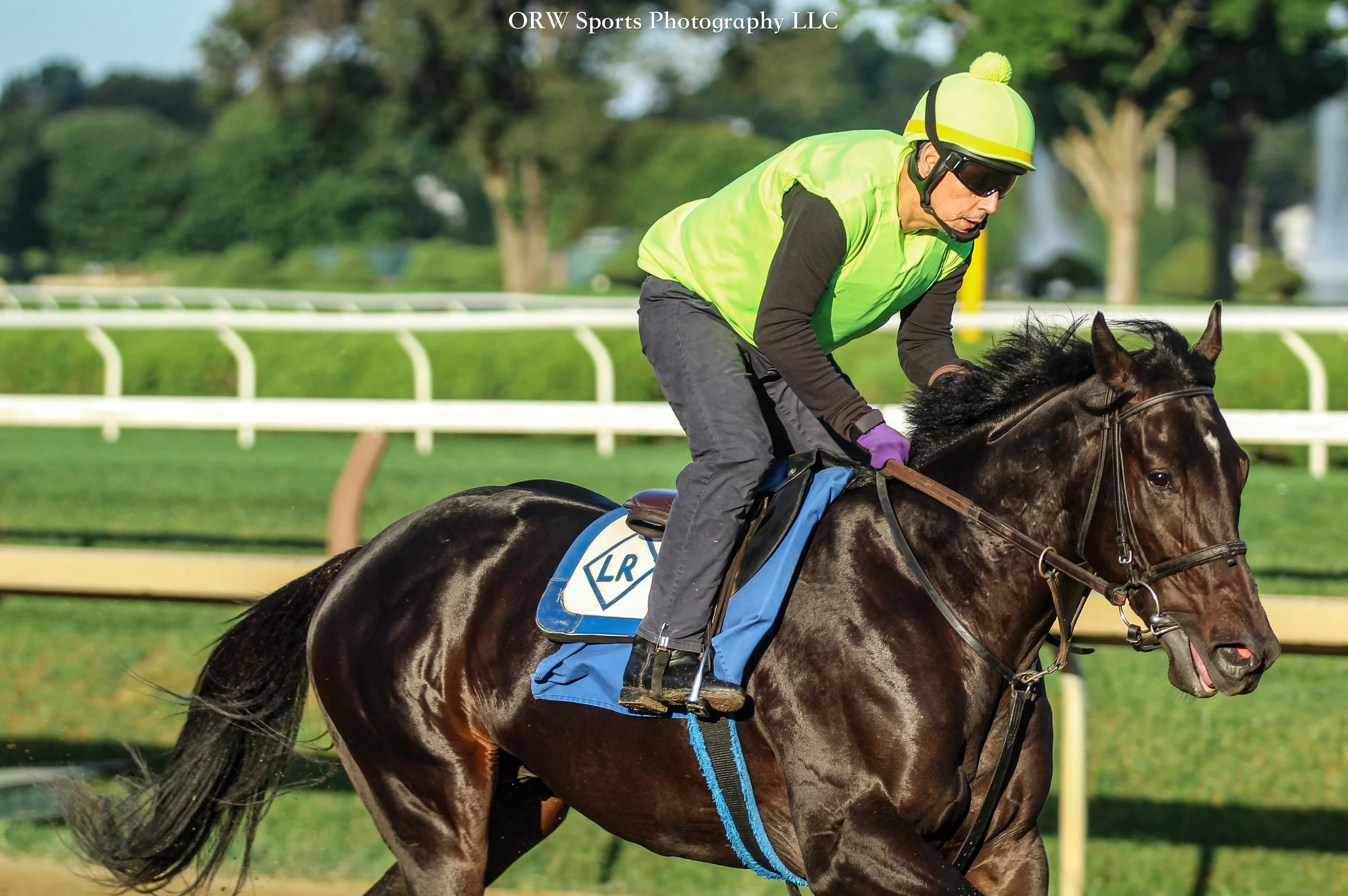 Dargham puts in the finishing touches before his debut on Monday
