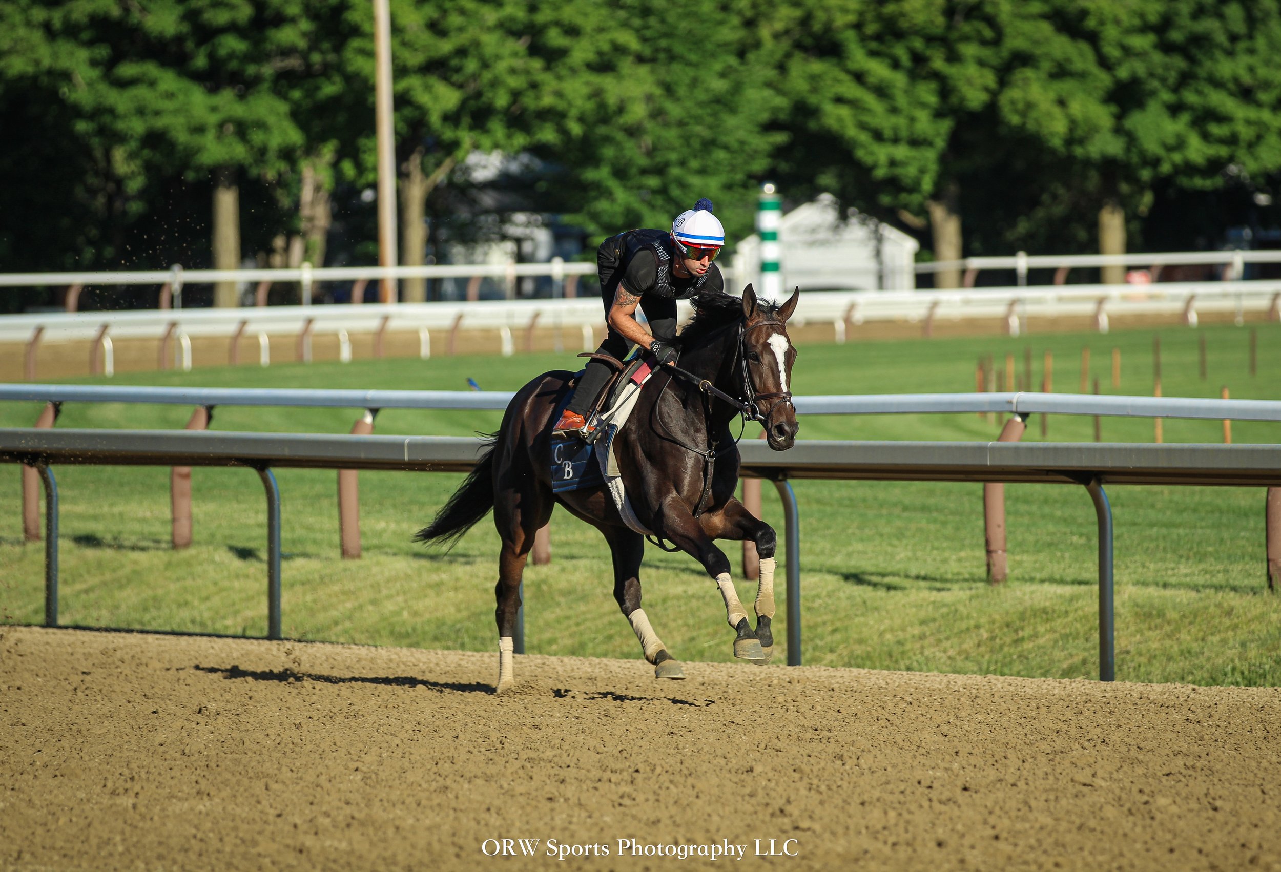 Chad Brown Trainee 