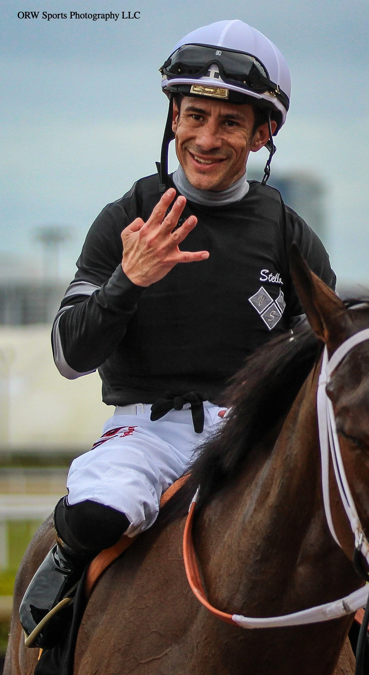 {Vicente Stella Stables LLC} 