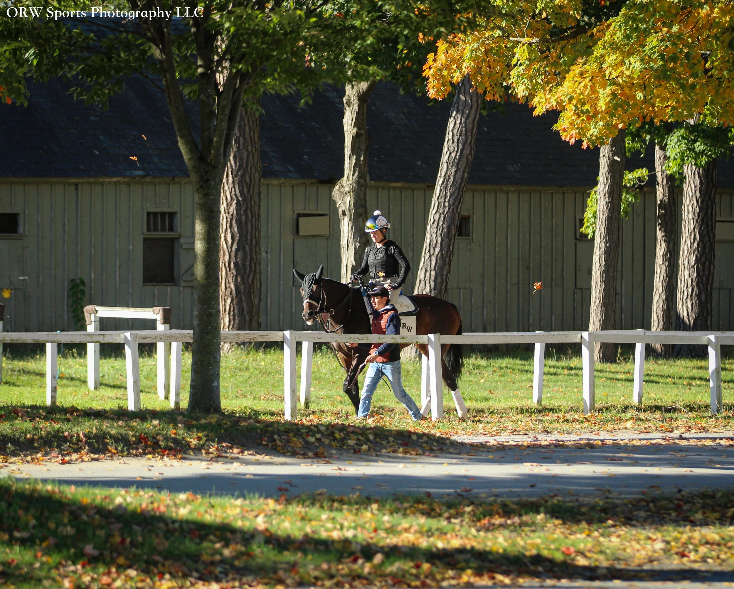 George Weaver Trainee