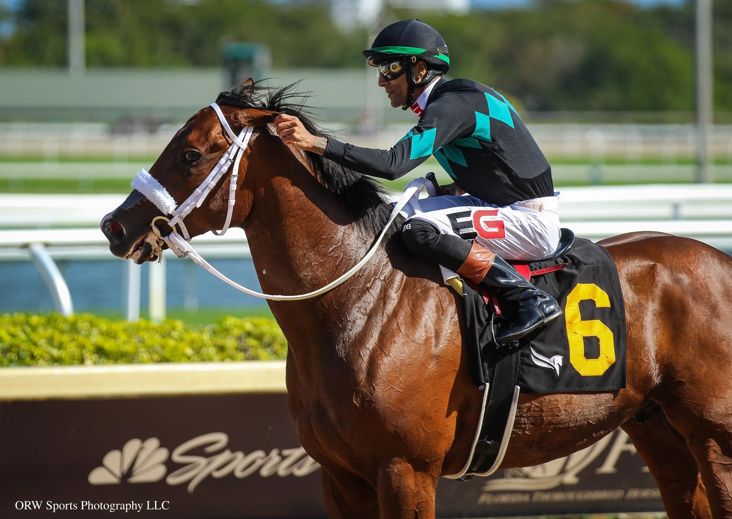 Speed Figures and Edwin Gonzalez (6).jpg