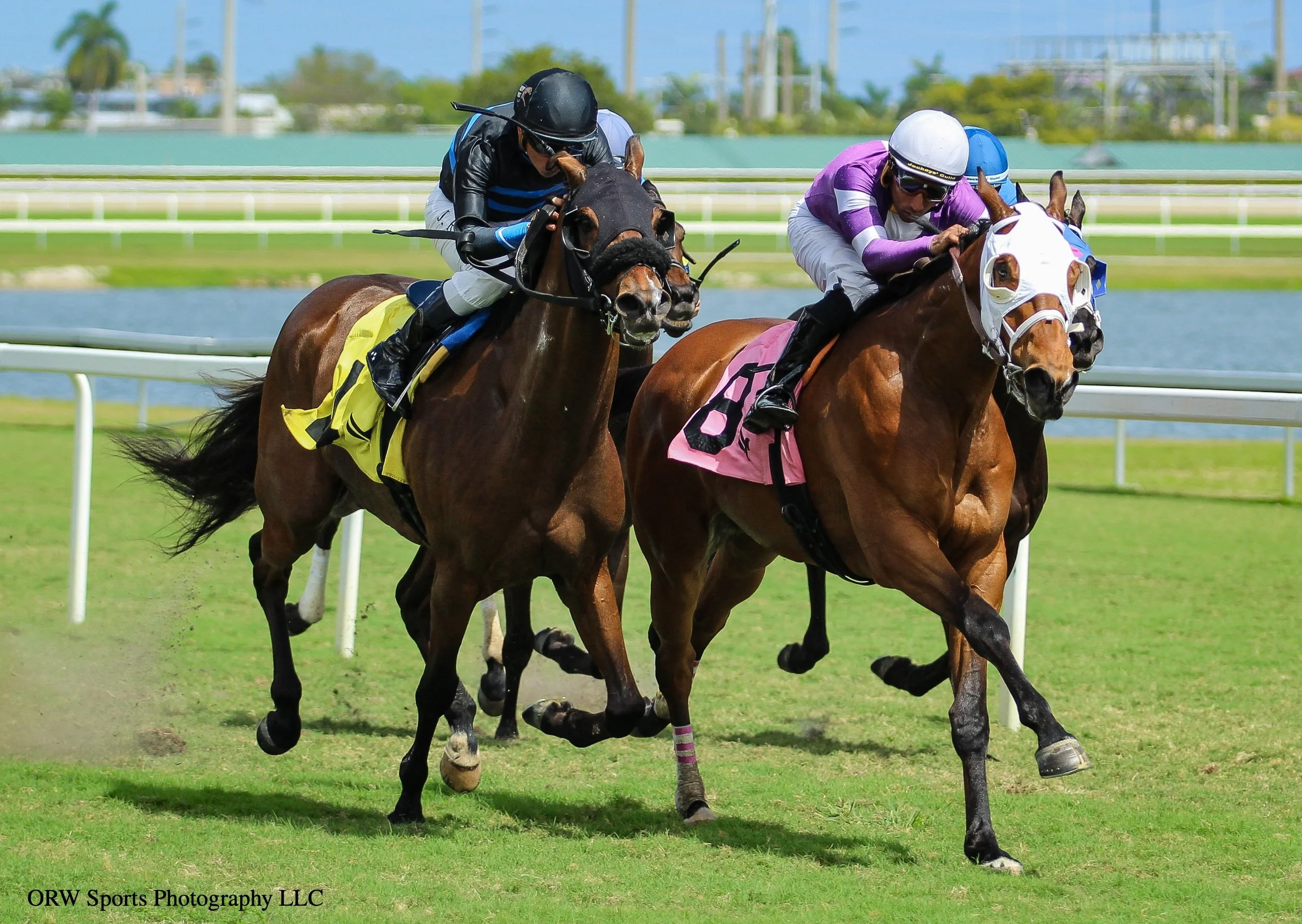 Swamp Fox vs Overseer 