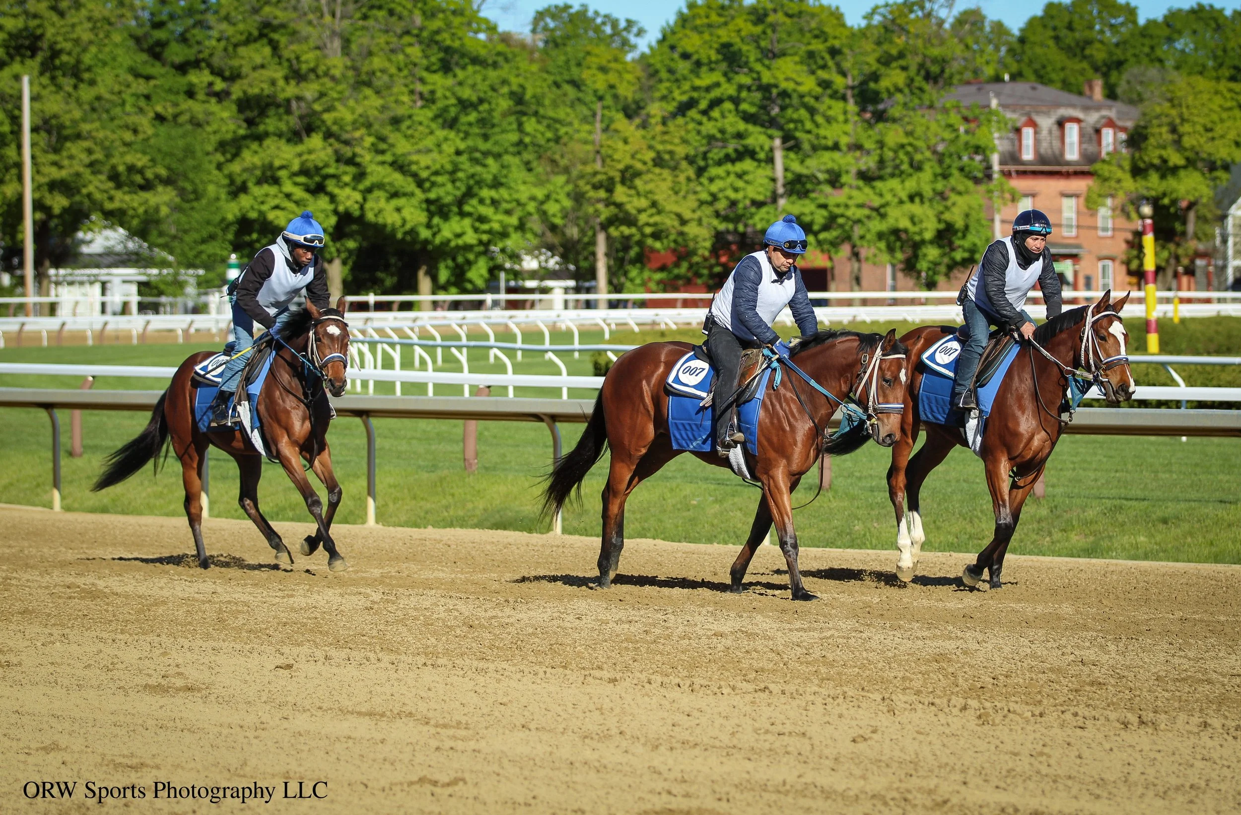 Aleste '24, Brandini '24, and Tiz Justice