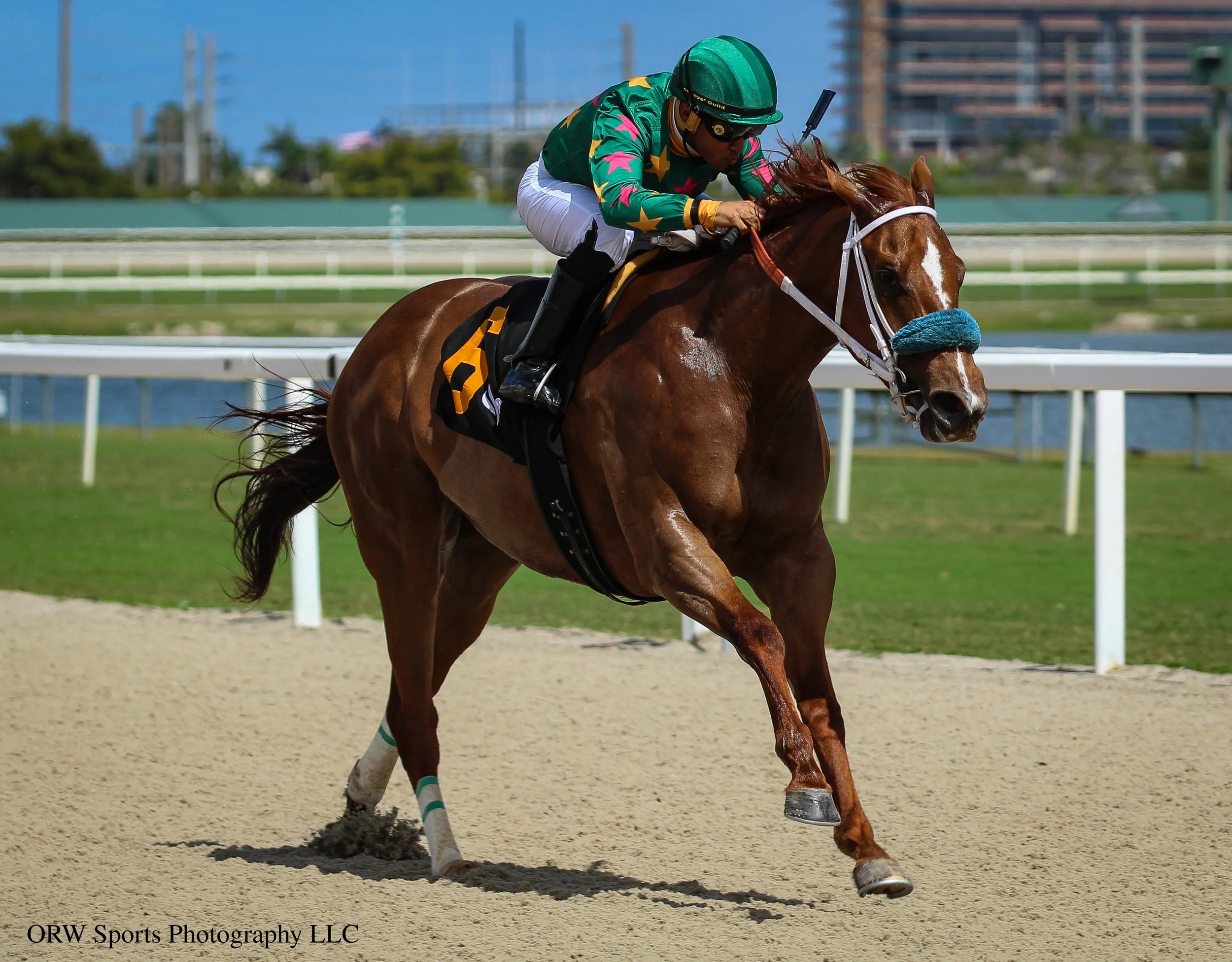 Honor Her and Miguel Vasquez 